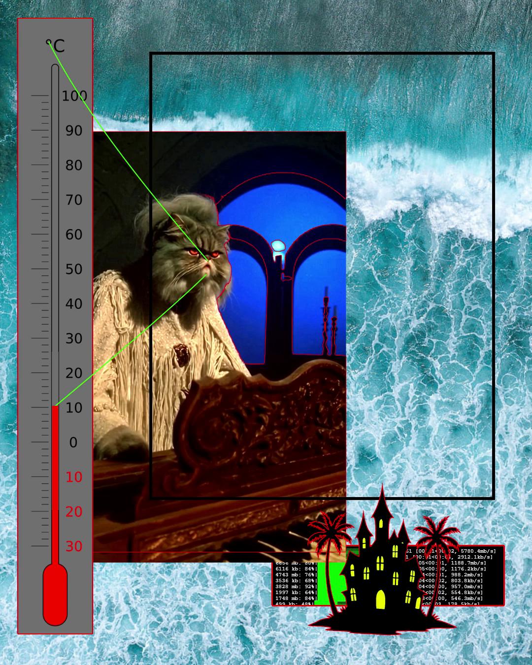 TEMPERAMENTAL_TEMPERATURE_CAT_
GROWLS_TO_VACATION_DIFFUSION.MP4