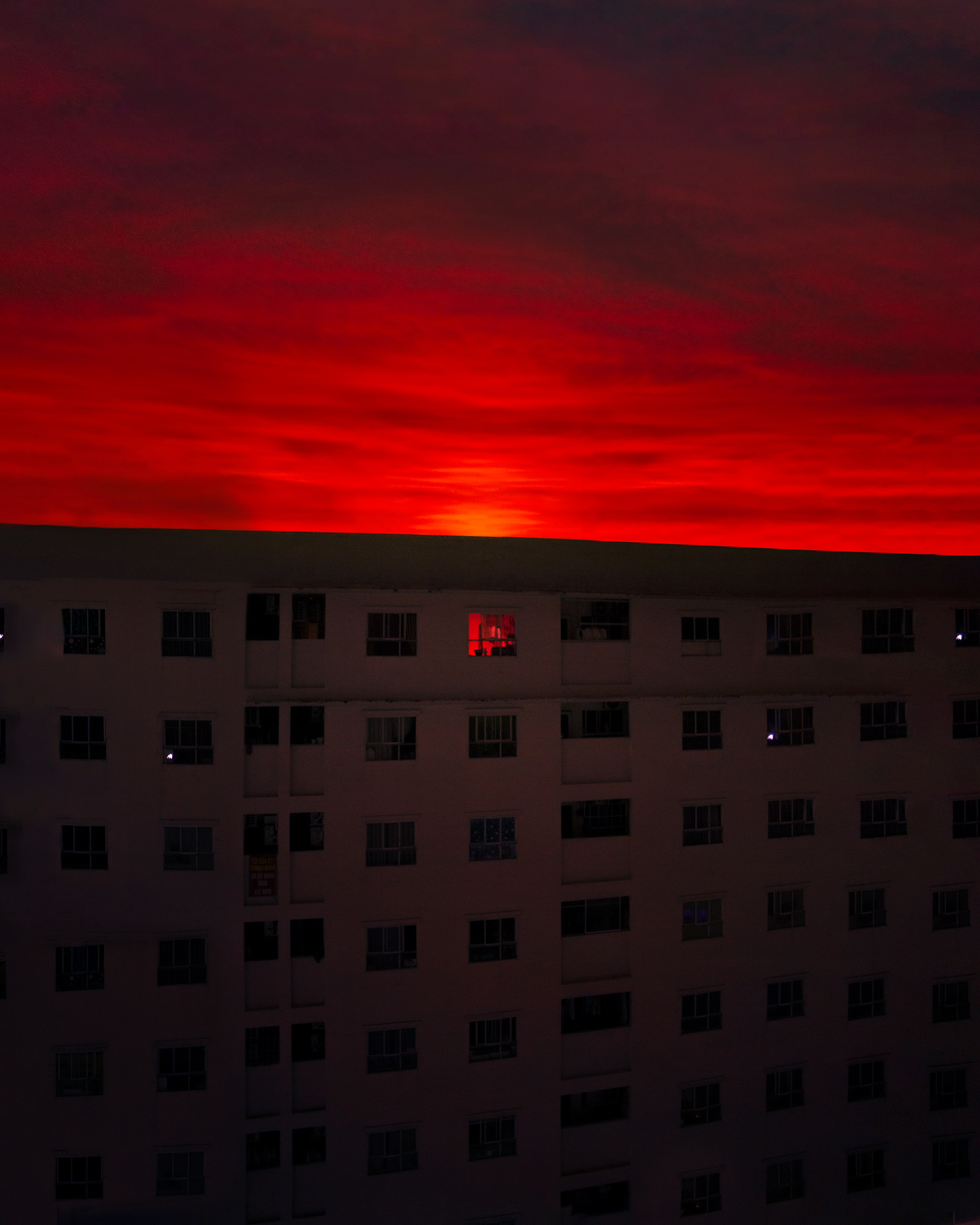 Sanguine