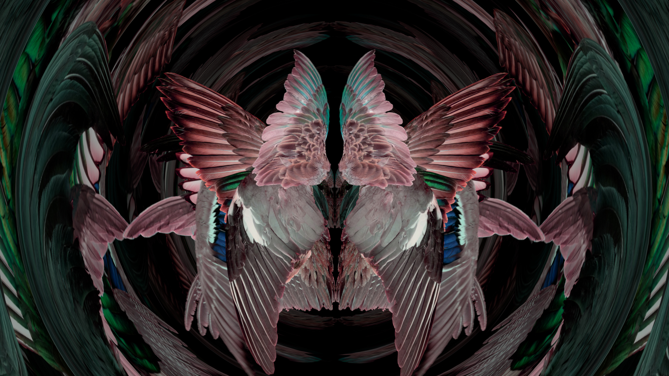 Fuga delle Sirene XLIV