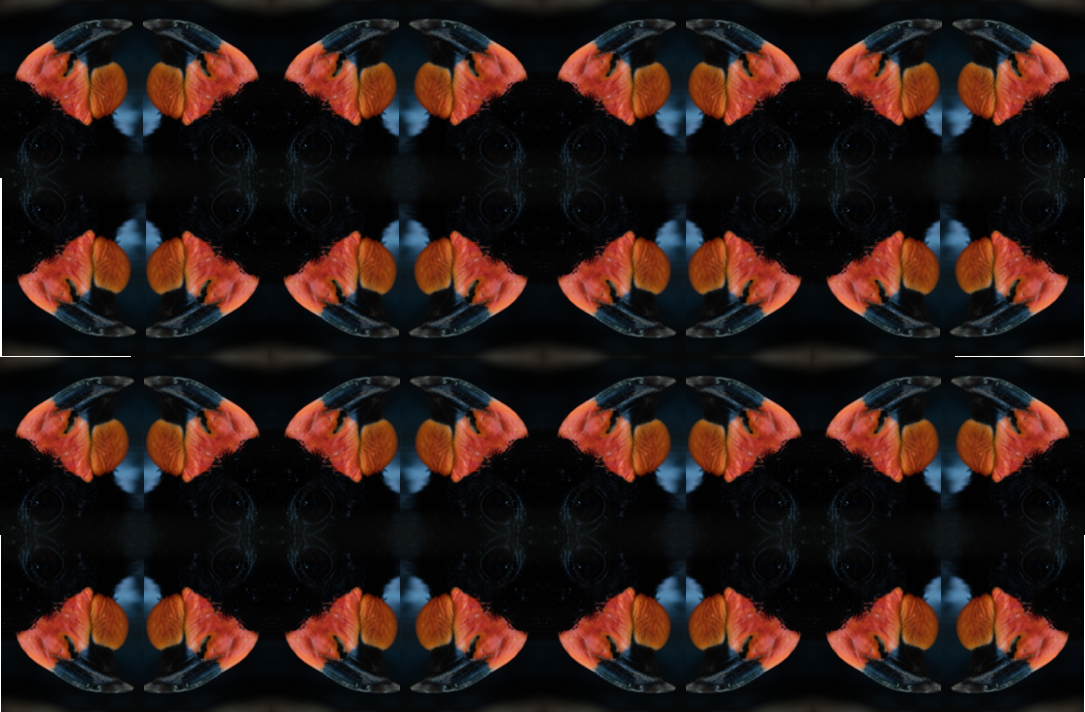 BB9