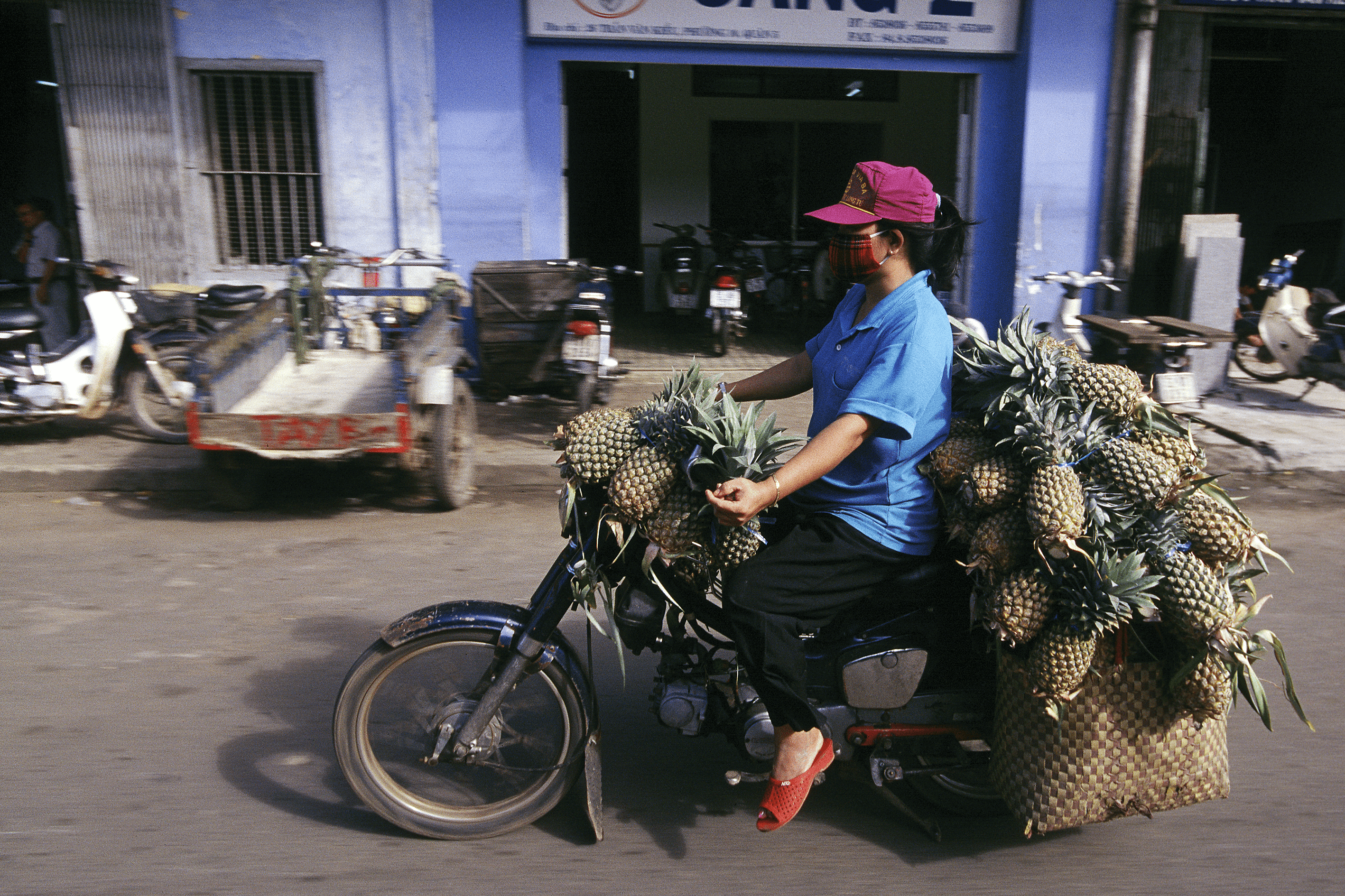 Bikes of Burden #52. Pineapples.