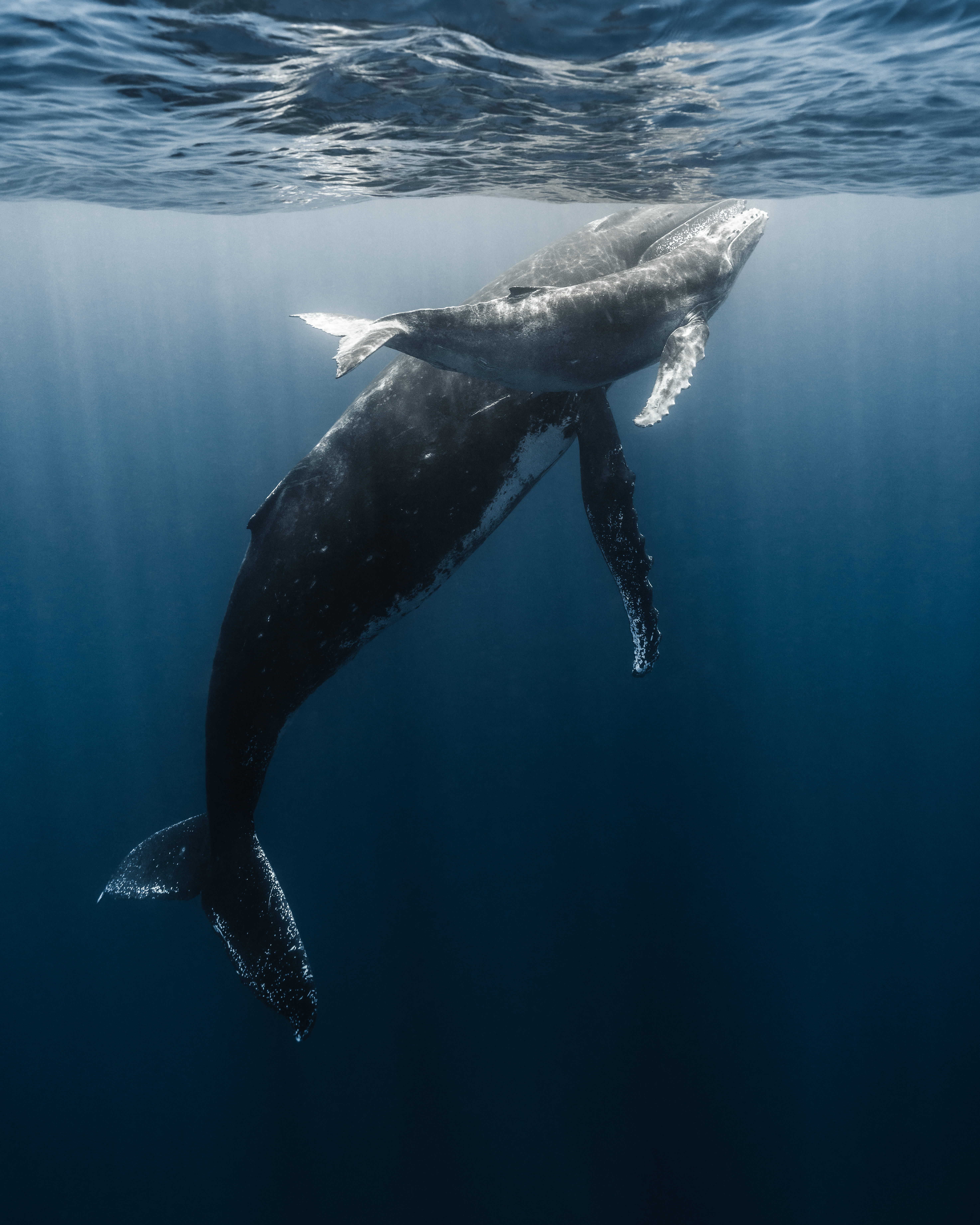 Tales from the Blue Planet - Part I