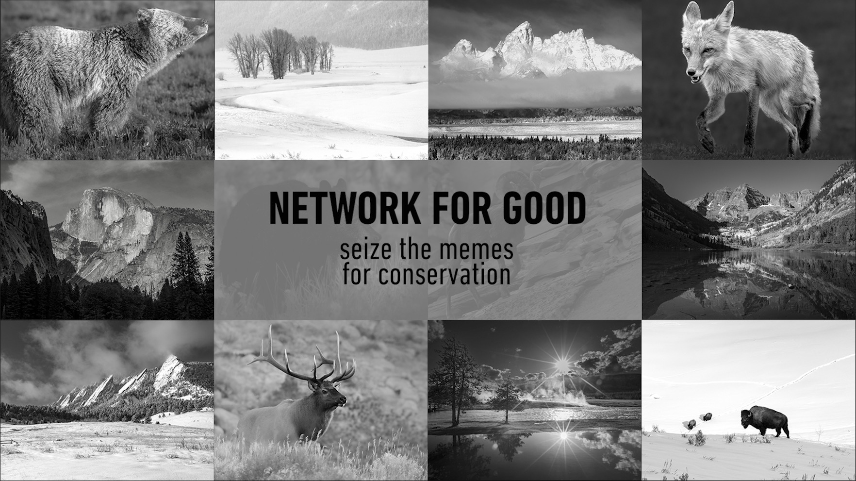 Network for Good 