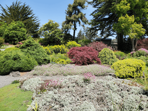 Mendocino Coast Botanical Gardens, Fort Bragg, California