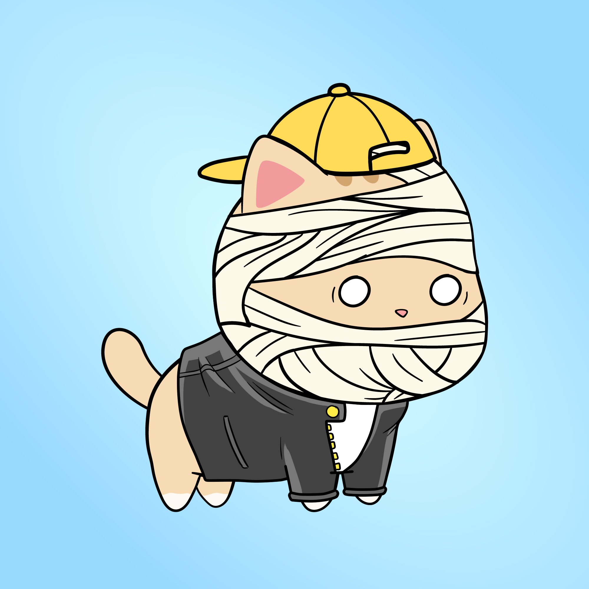 Chubbicat #1008