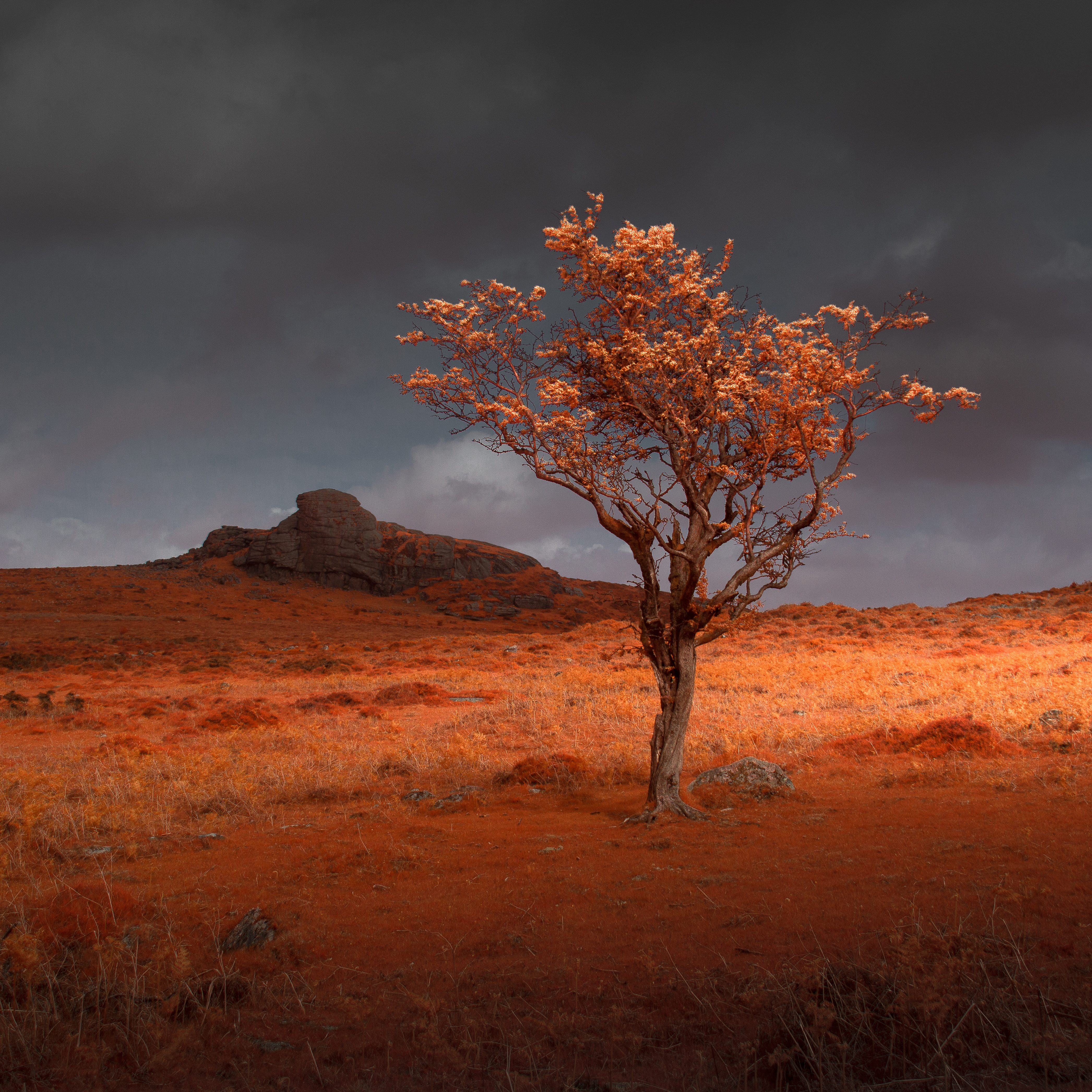 SEASON OF CHANGE