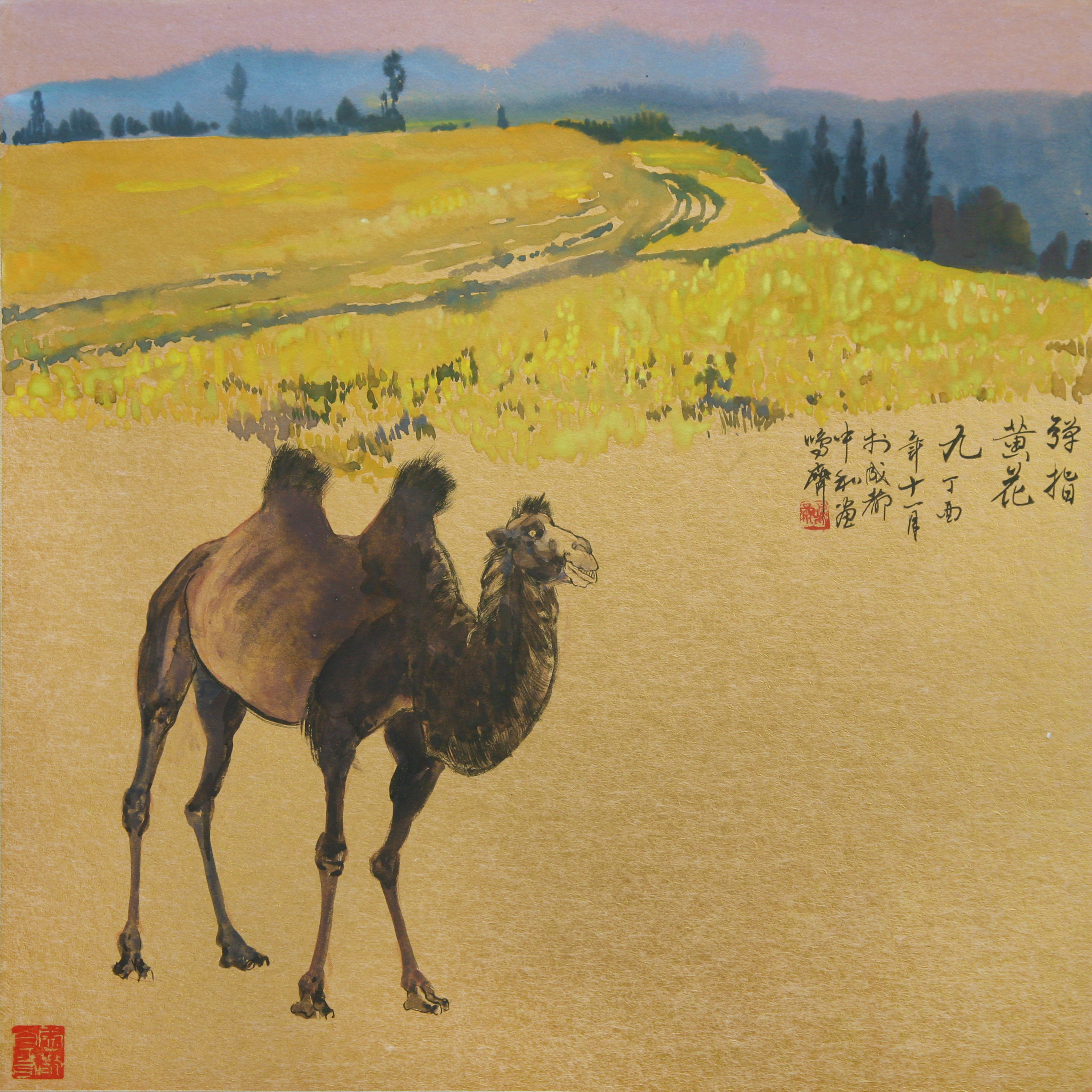 Camel Trek, Yellow Blossoms in a Flick