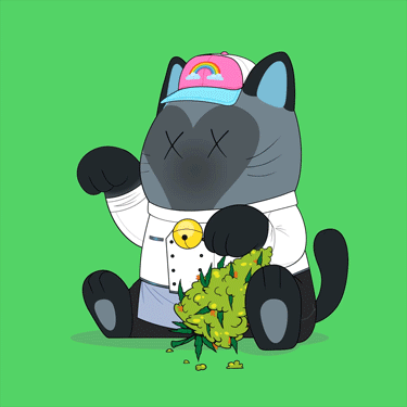 Lucky Neko #3359