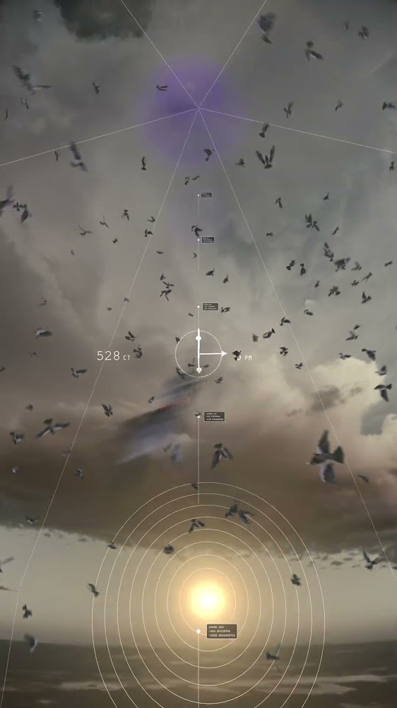 6 pm 528 birds Rain