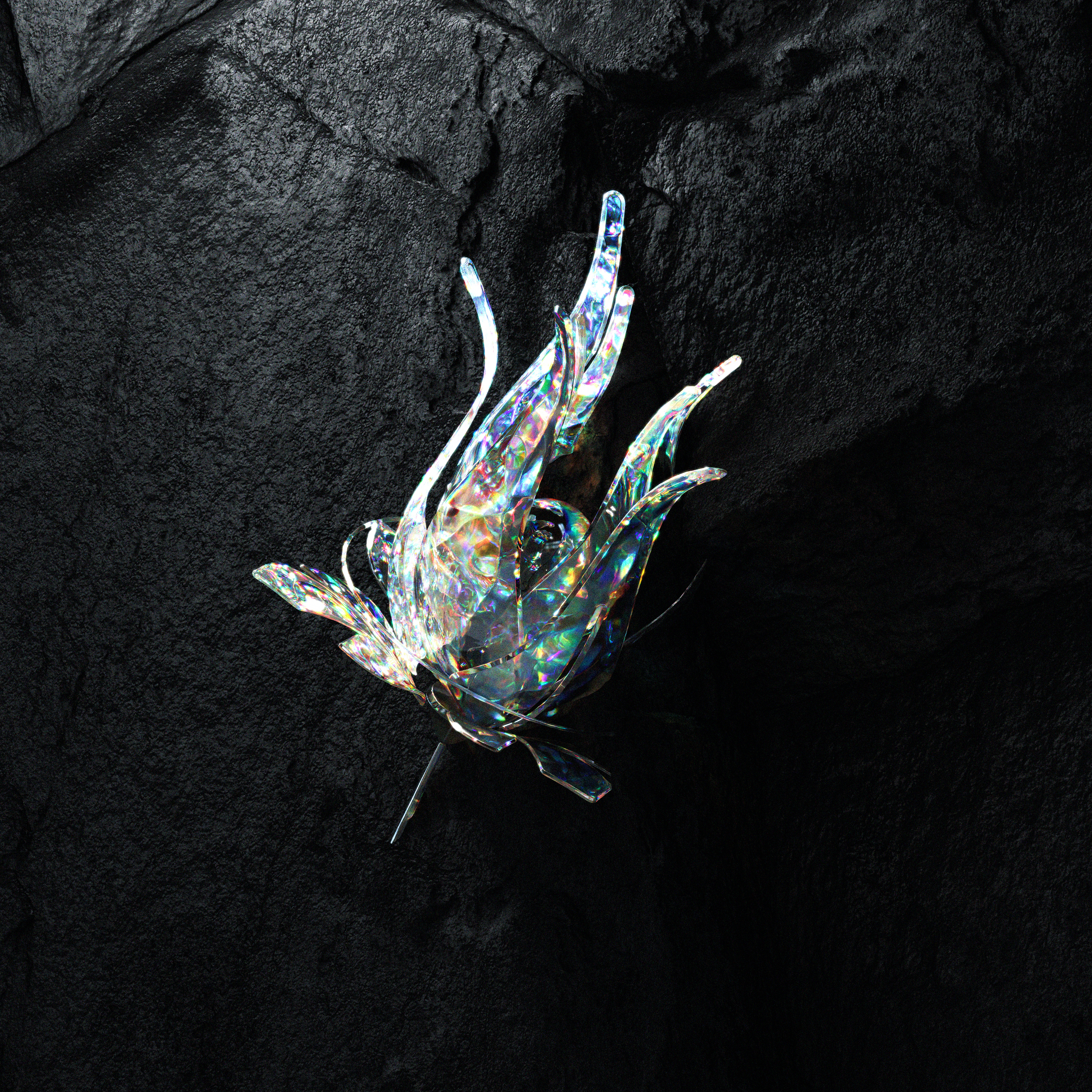 Roots of Midnight #166