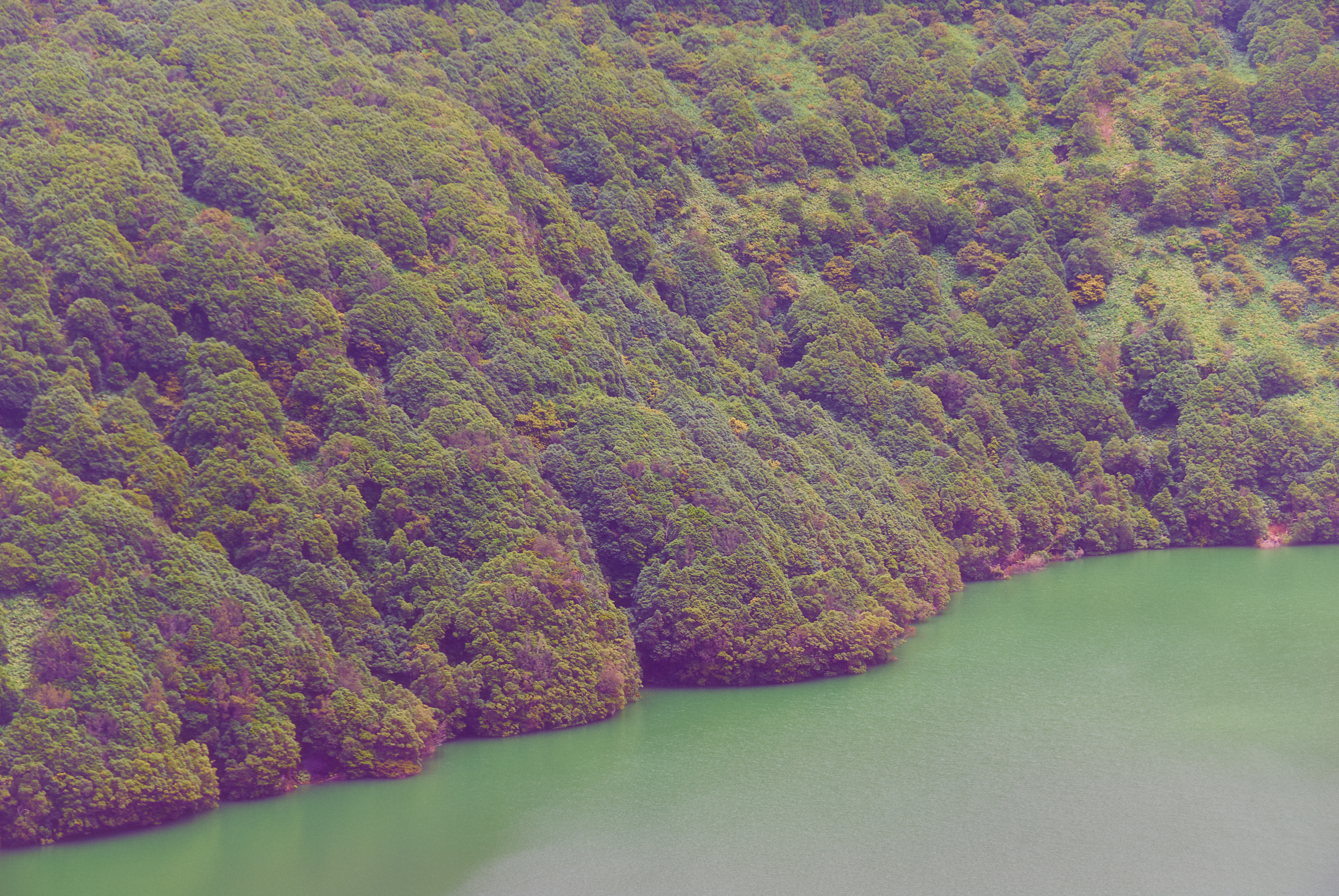 FOREIGN // RANDOMLY ACCESSED MEMORIES 01