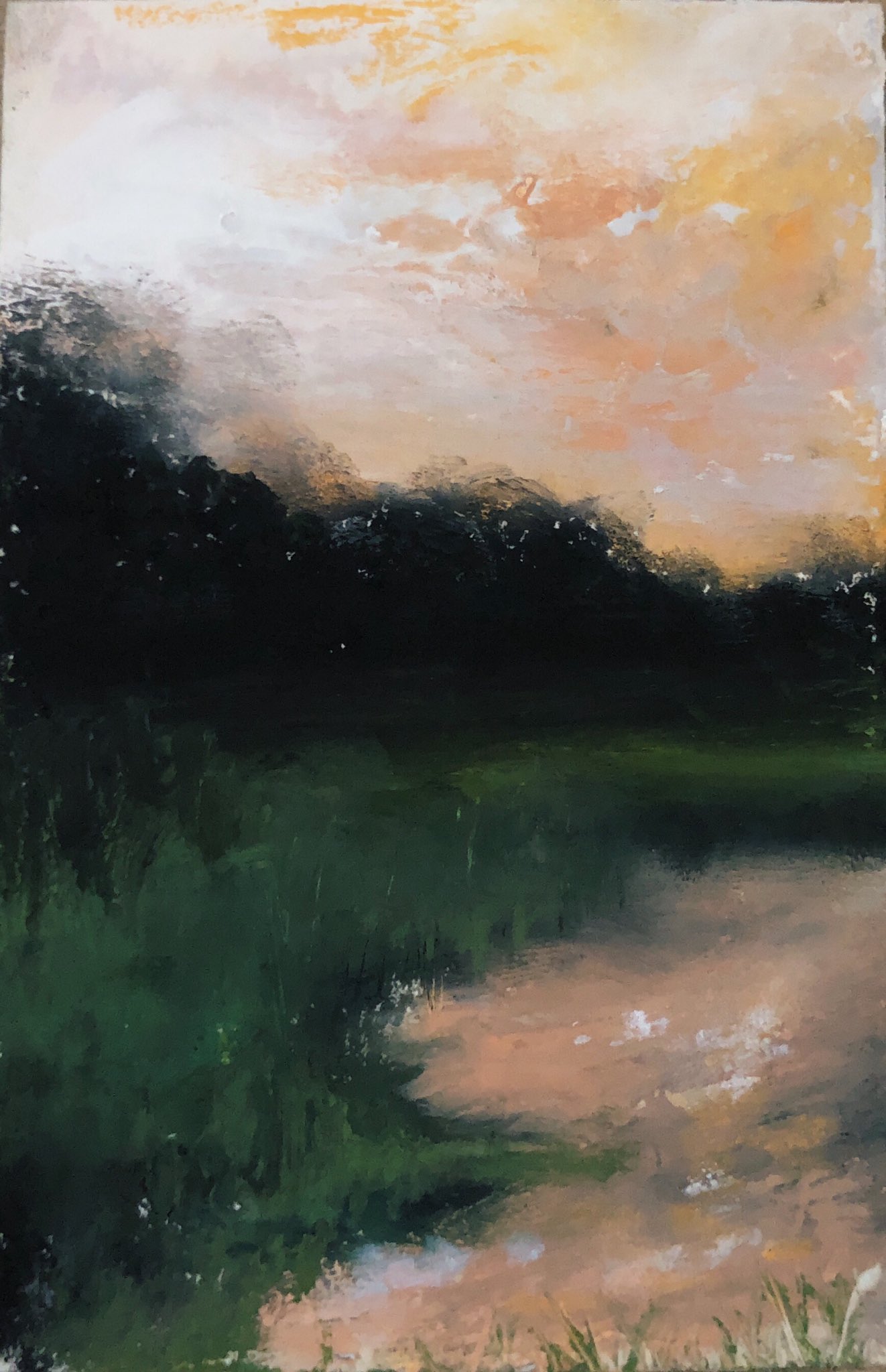 The Evening Sunset