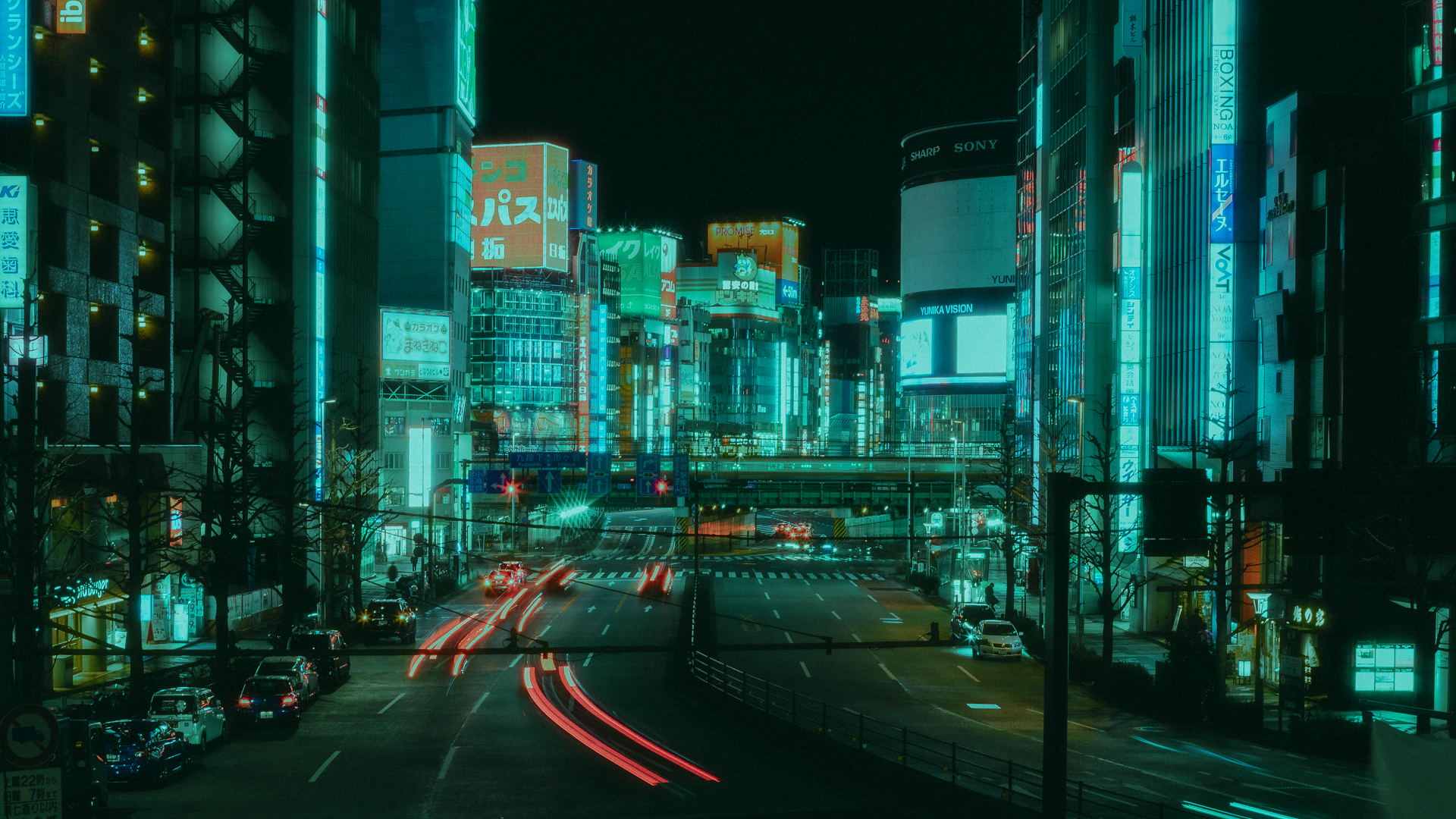 A Tokyo Dream