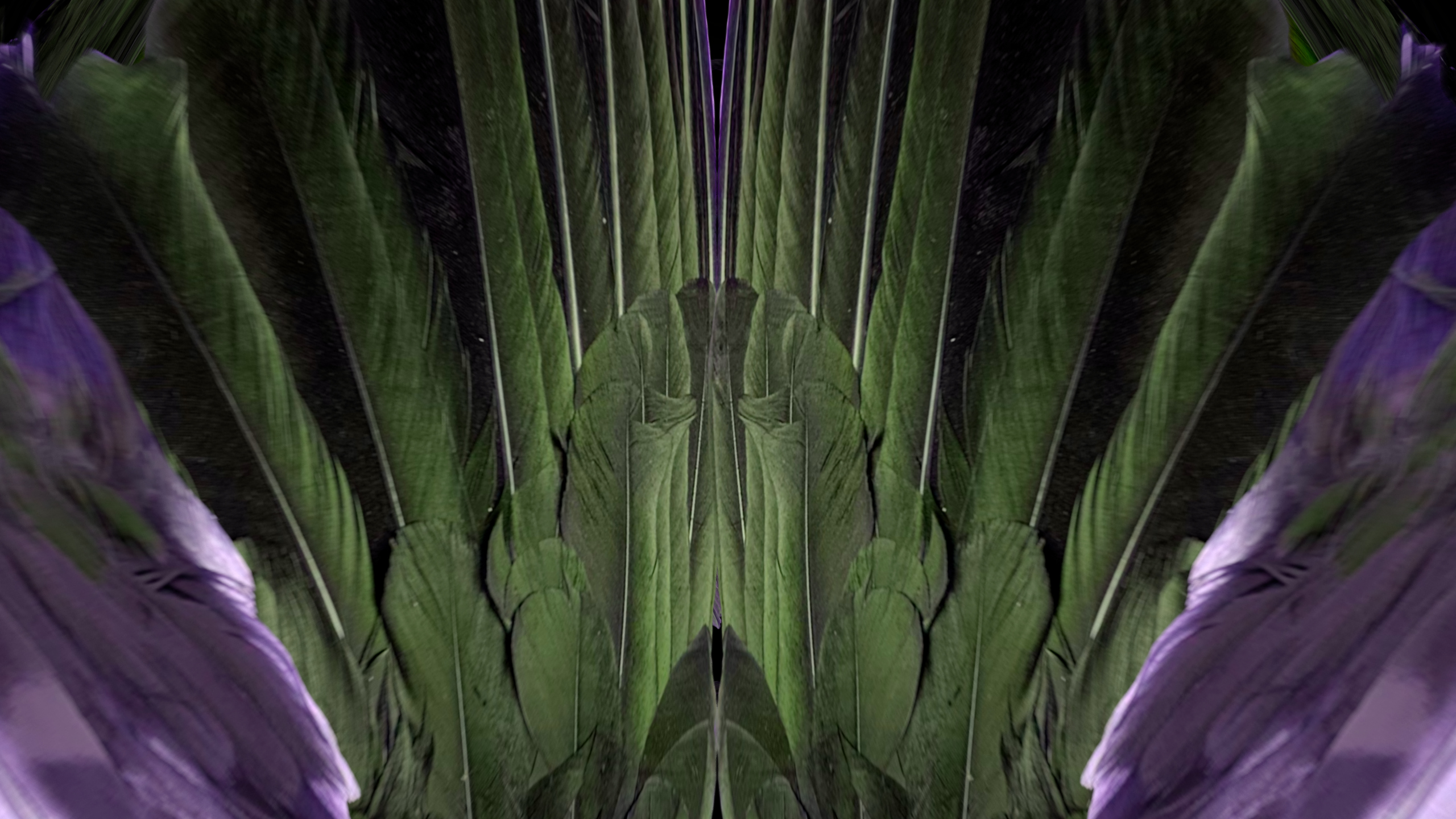 Fuga delle Sirene XCVIII