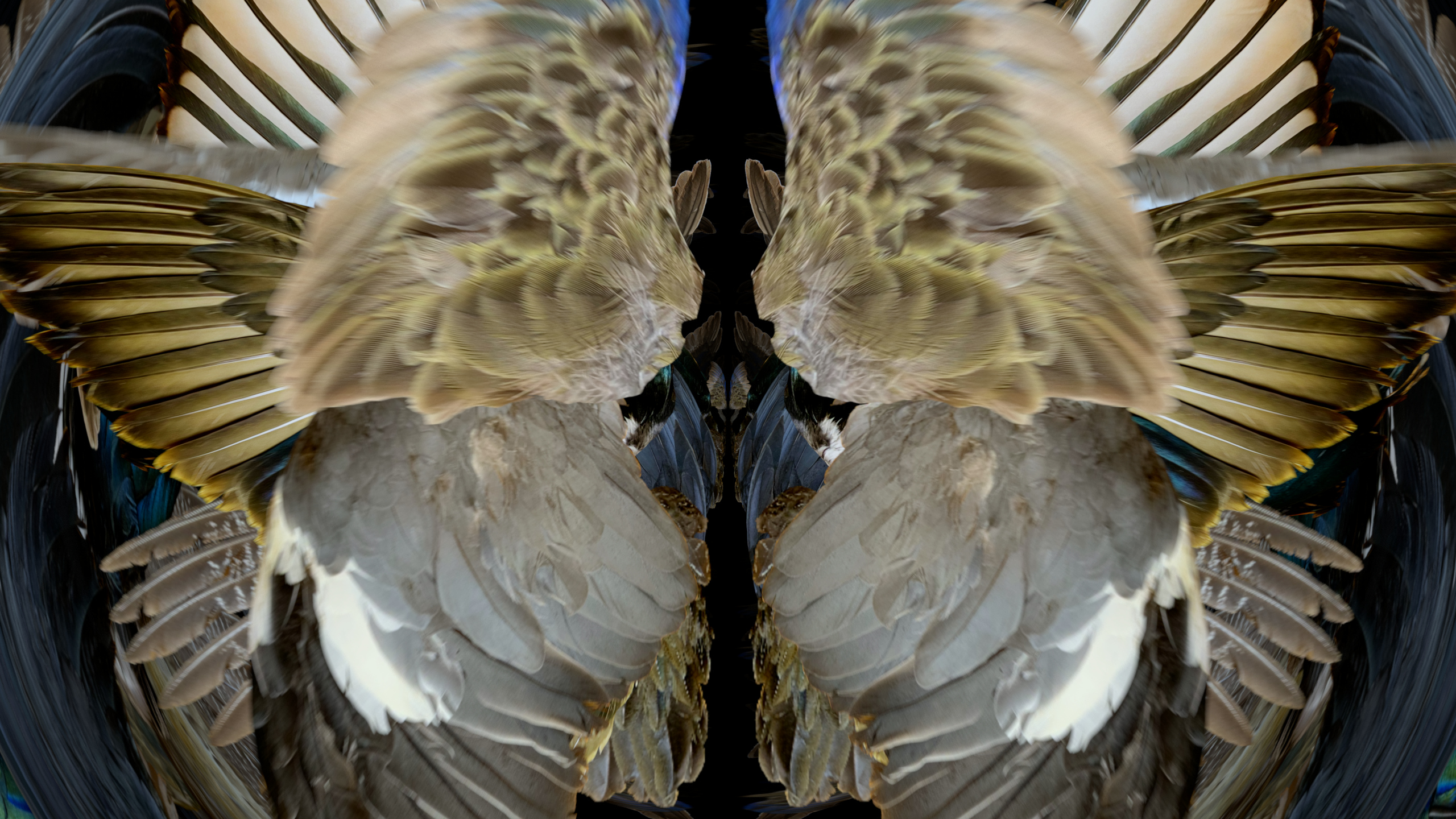 Fuga delle Sirene VIII