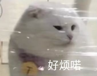 rrr21