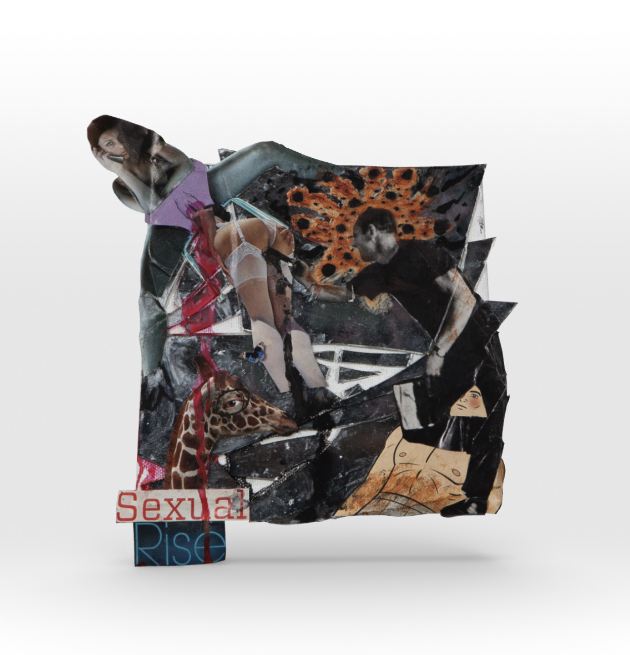 Cognition #118. Sexual Rise