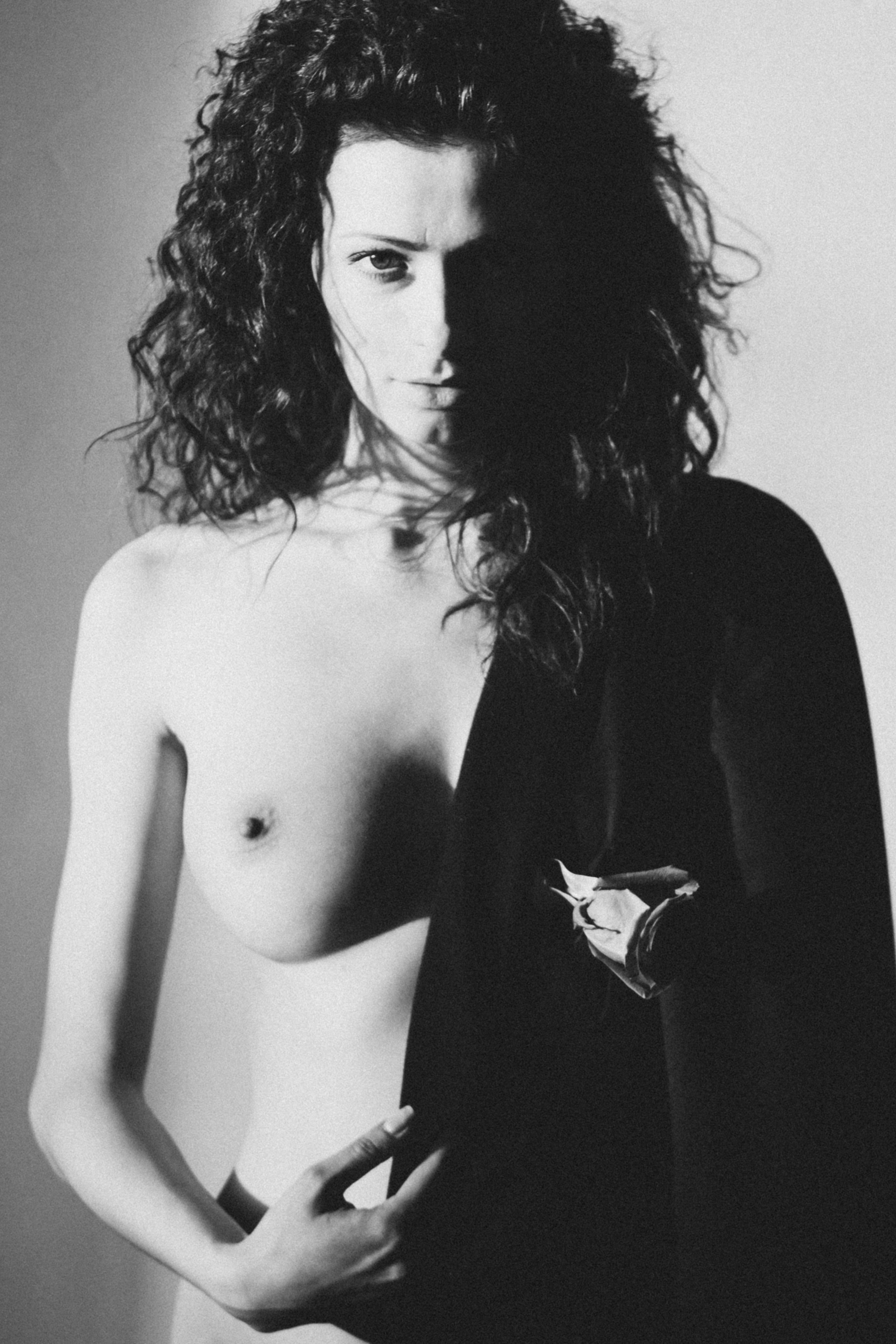 Lioness
