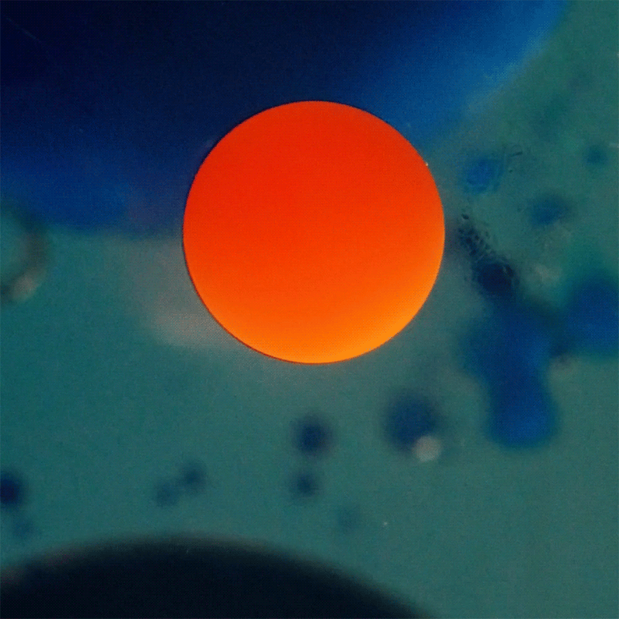 Sun Ra