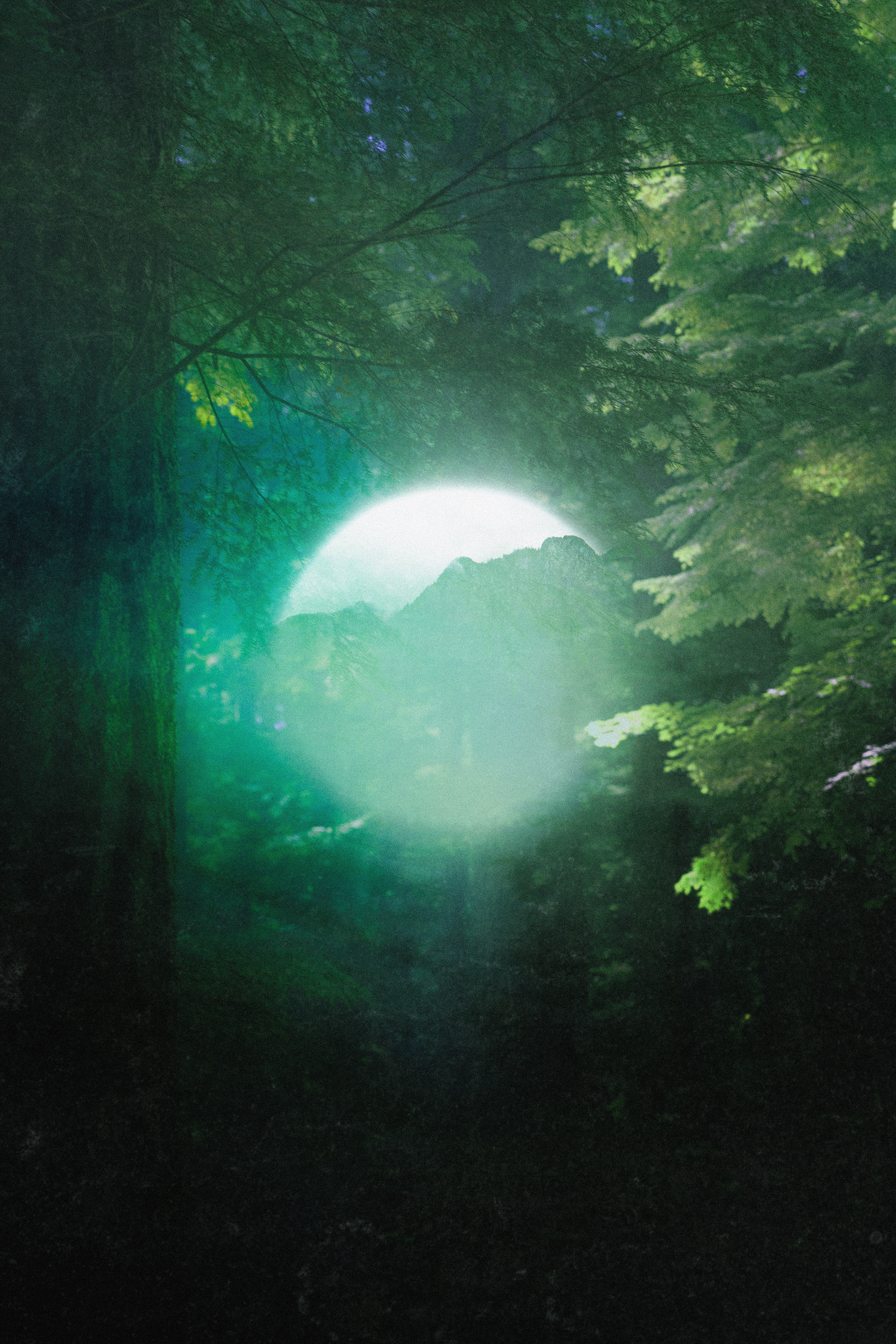 The Emerald Veil