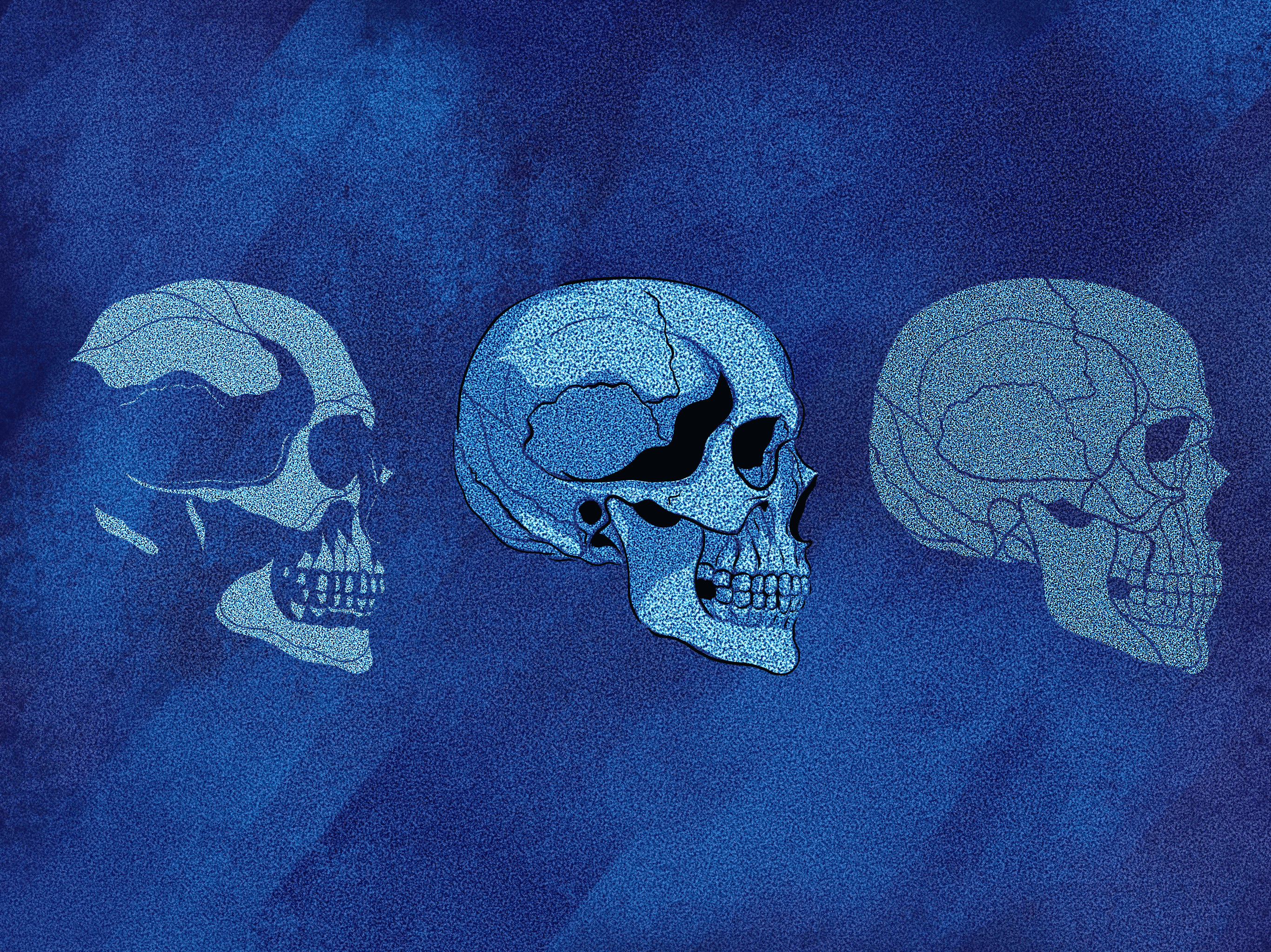 Blue Skull ( a stencil study)