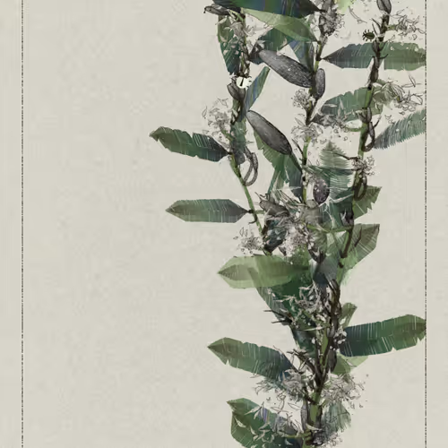 Polypaths | 植徑集 #545