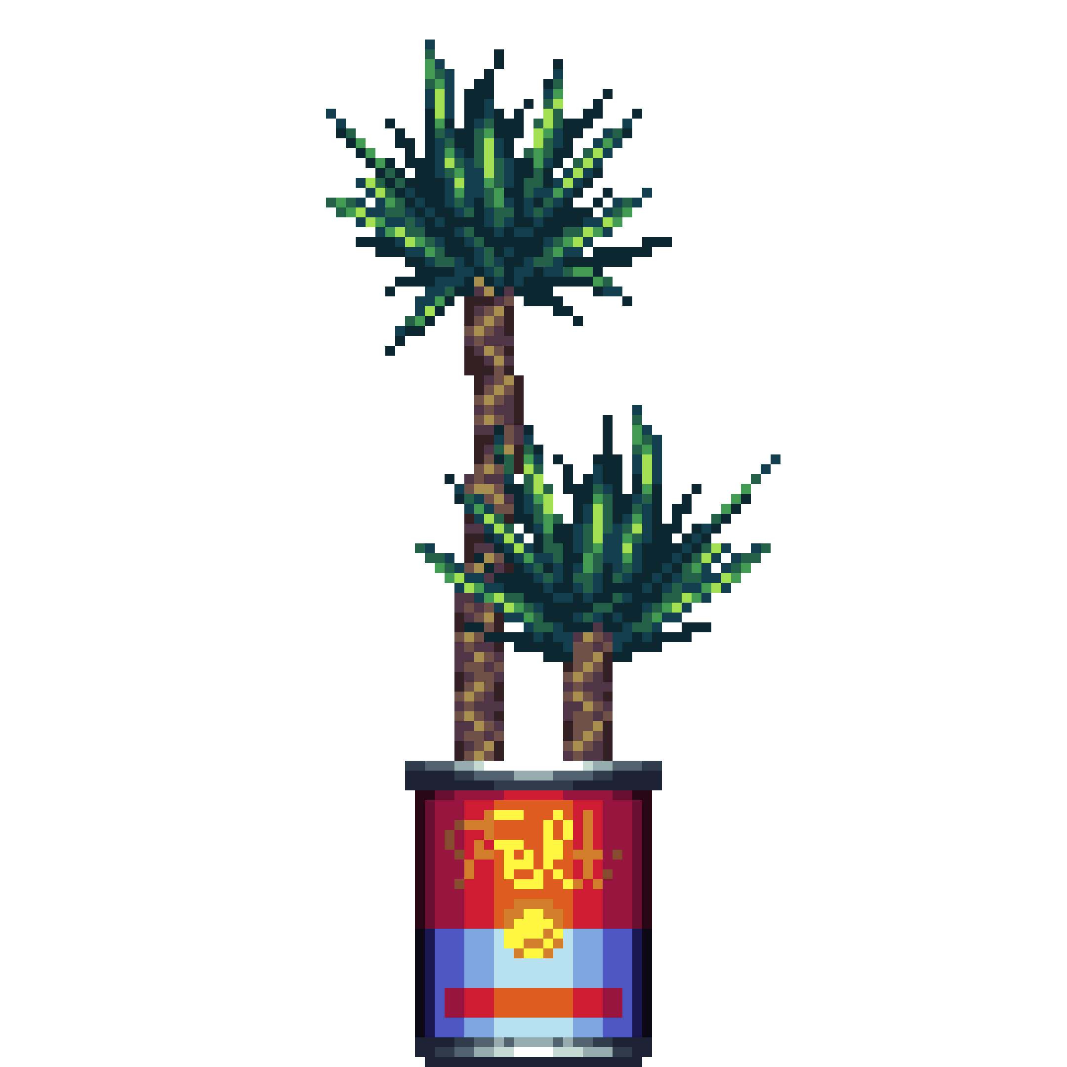 Yucca Palm in Carrot Soup Can pot