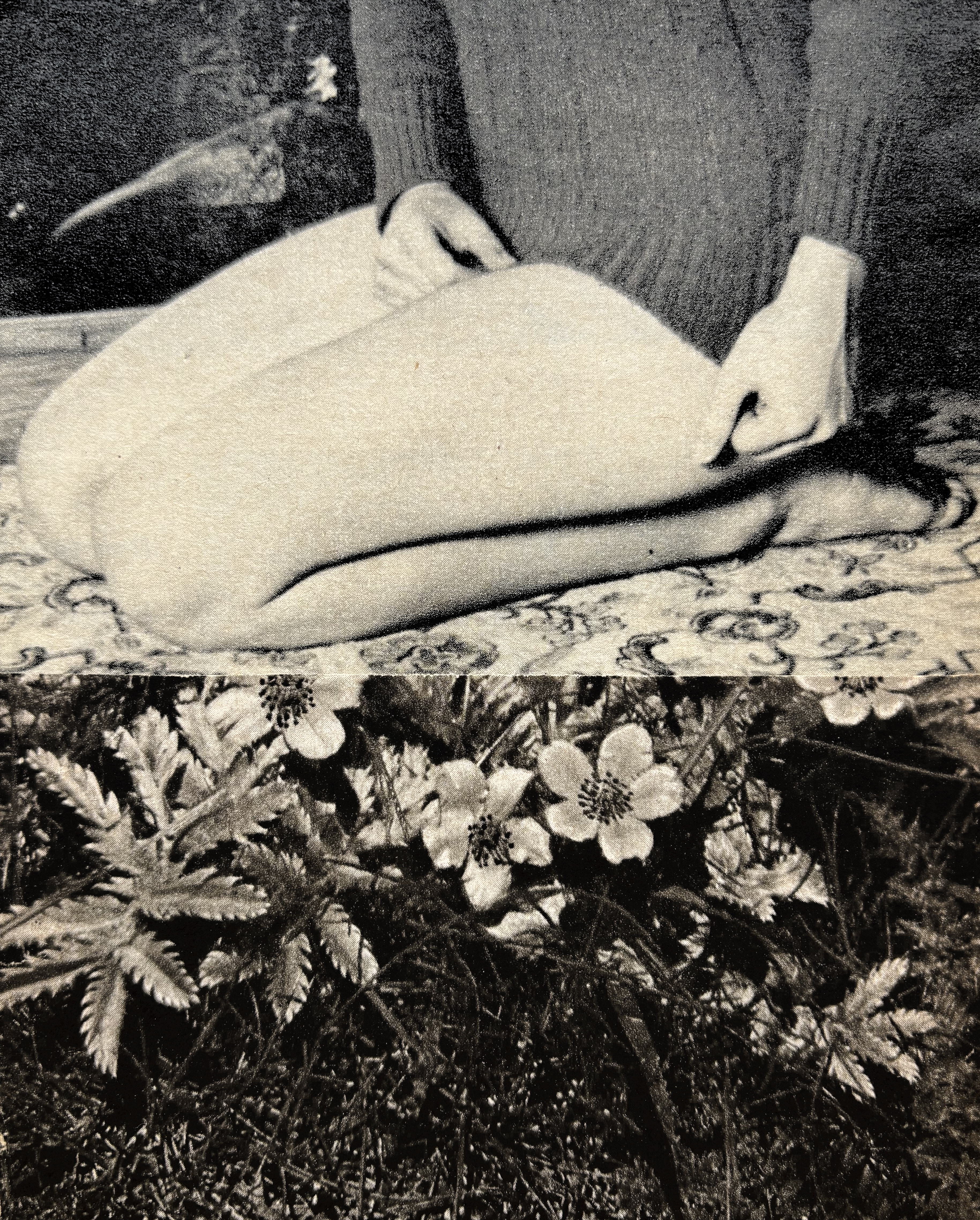 What the Ground Remembers