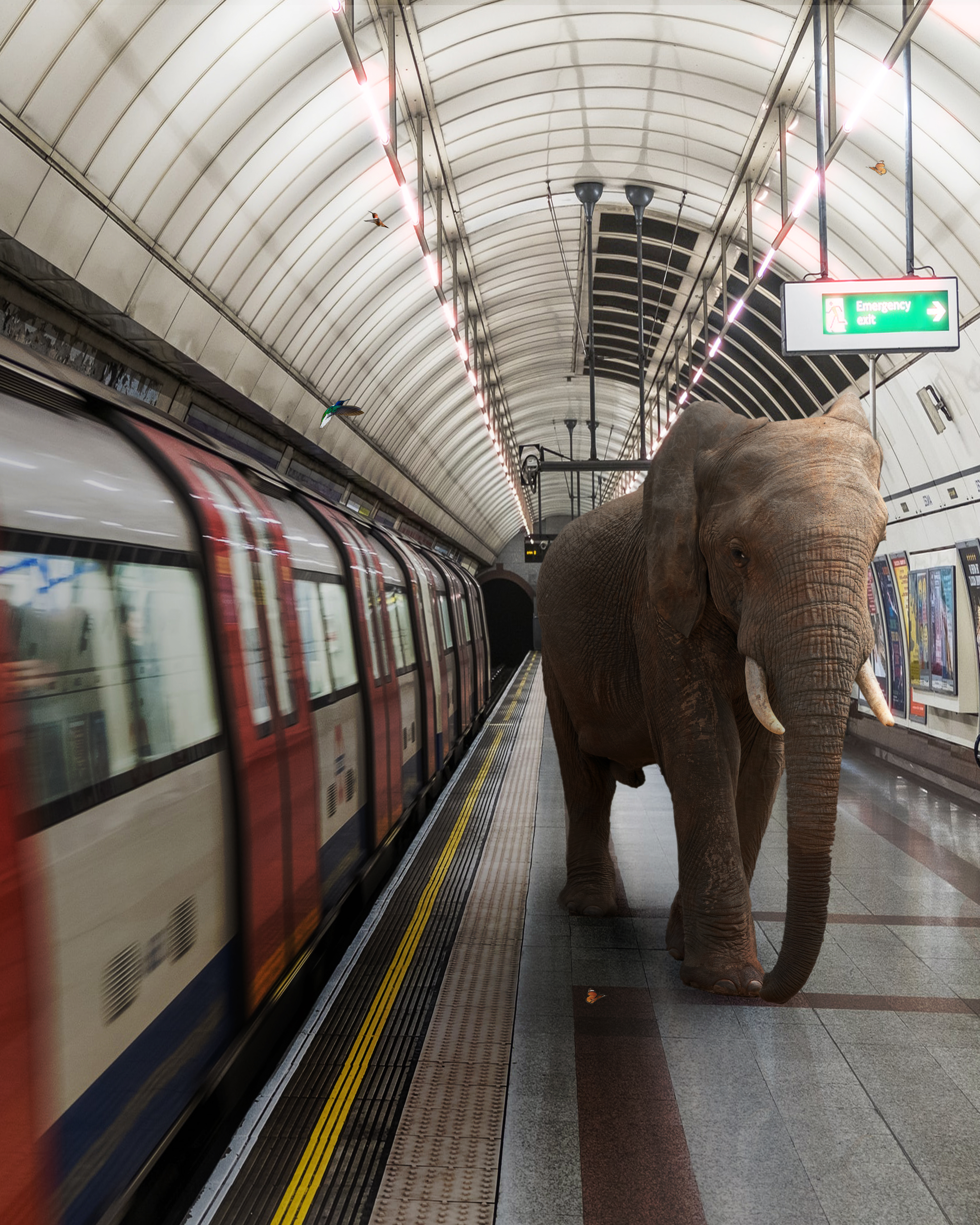 Freedom Station. Immediatly! #50/52