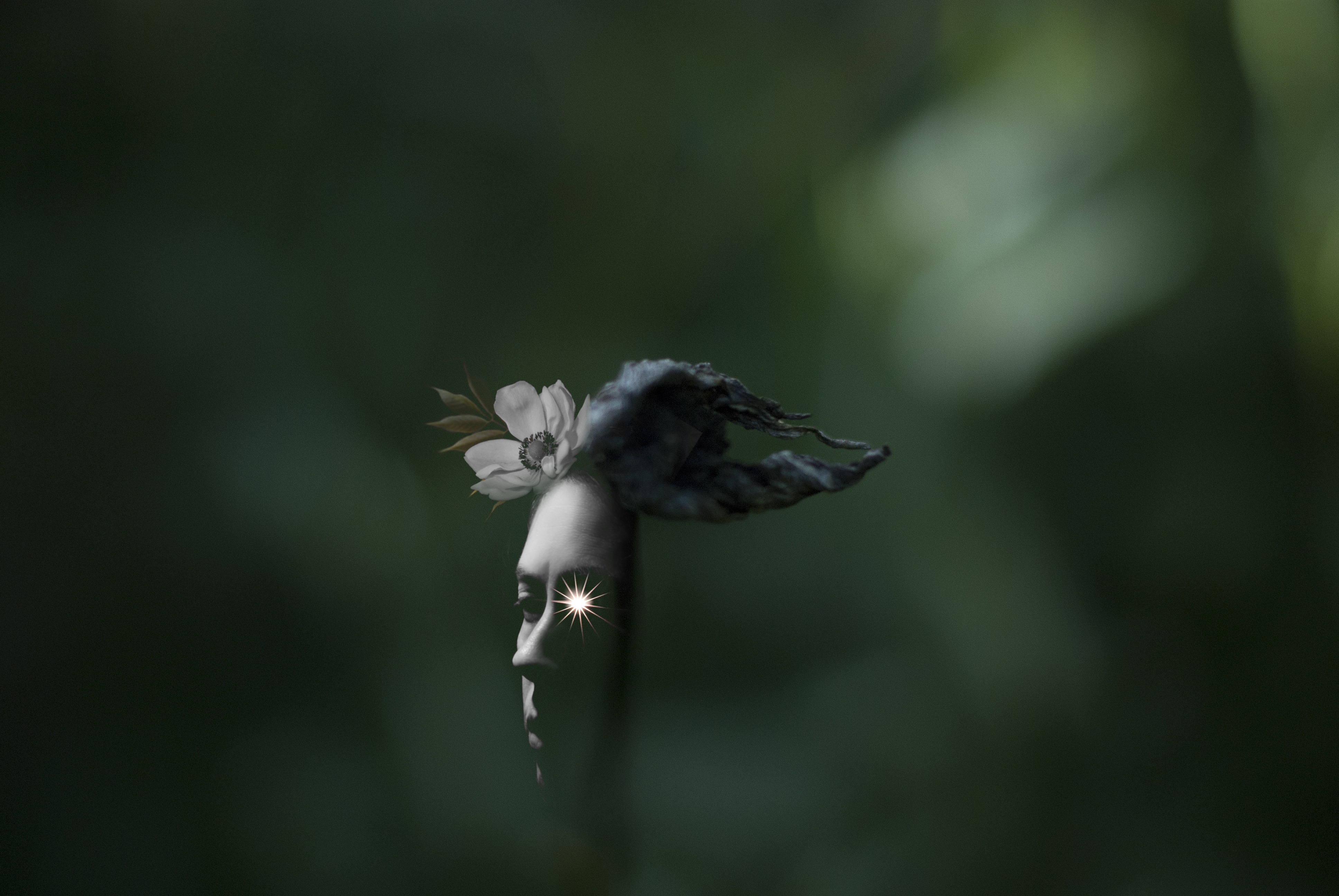 Dealing with loss