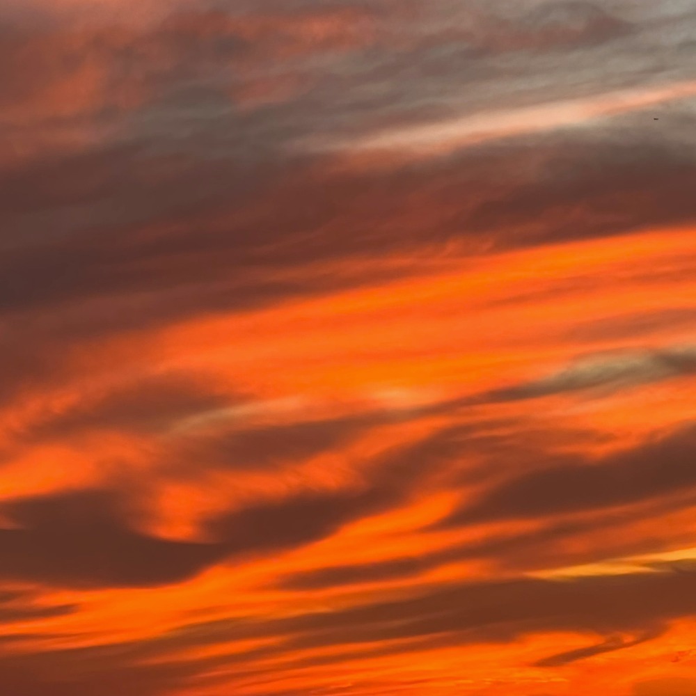 BREATHE day 4: Thursday #298