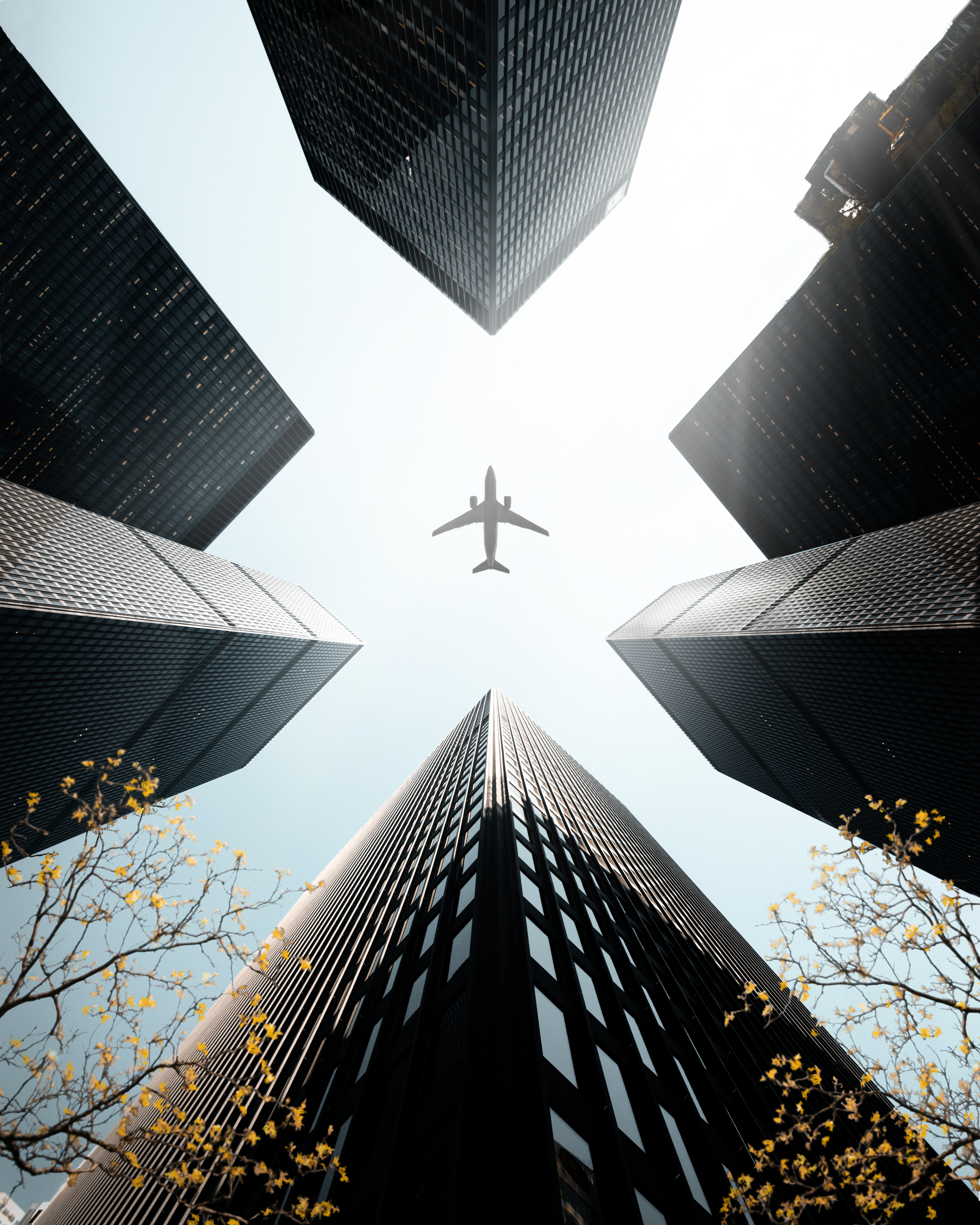 The Urban Constructs of EDEN I