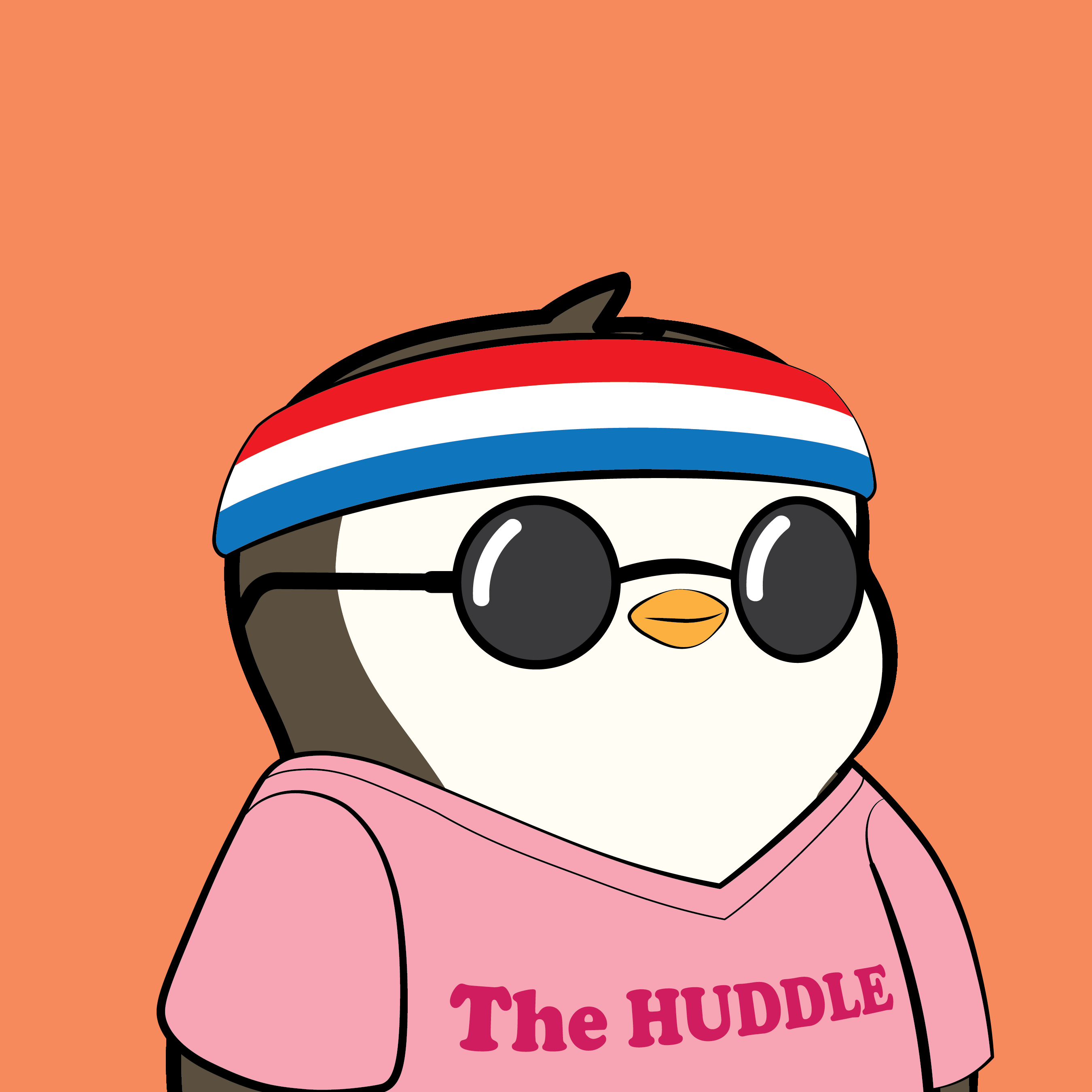 Pudgy #5970