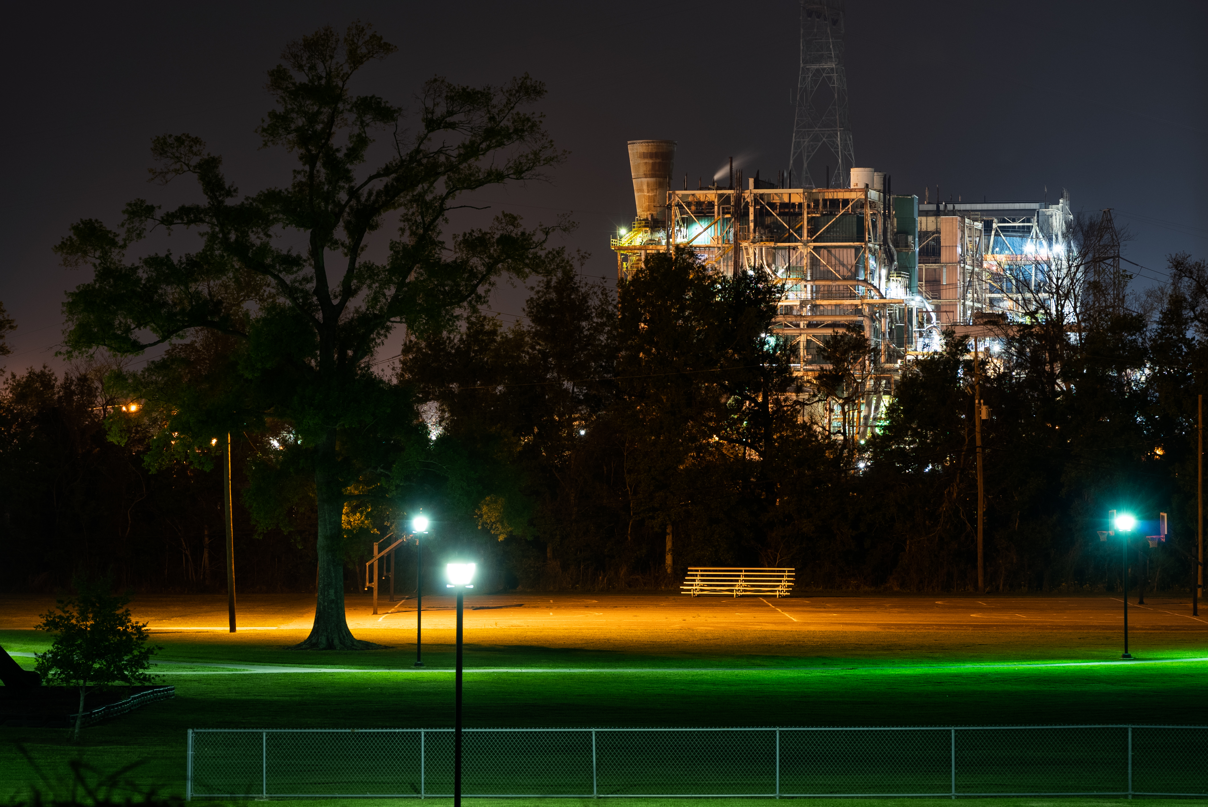 Plants and Recreation