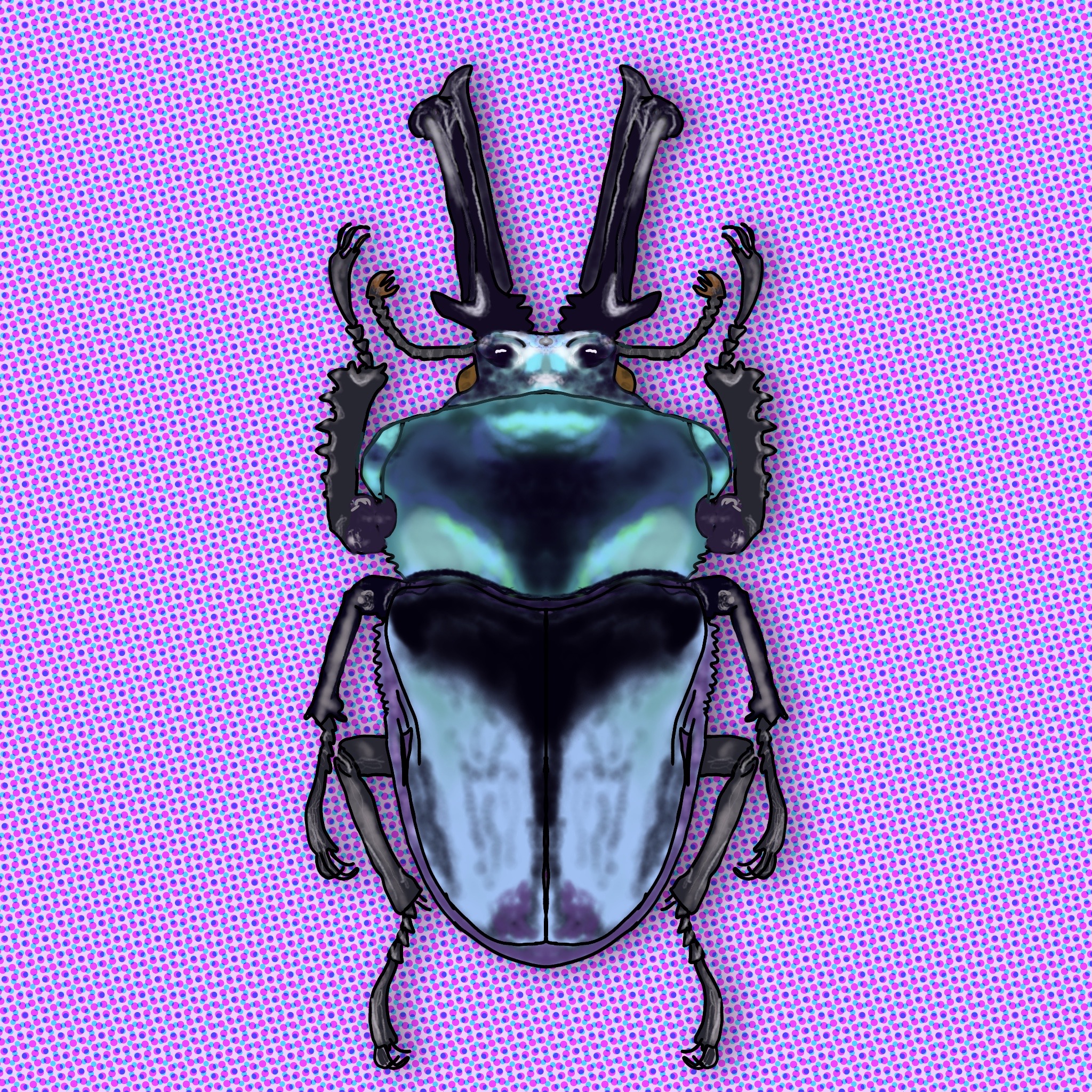 Meet the Beetles #001