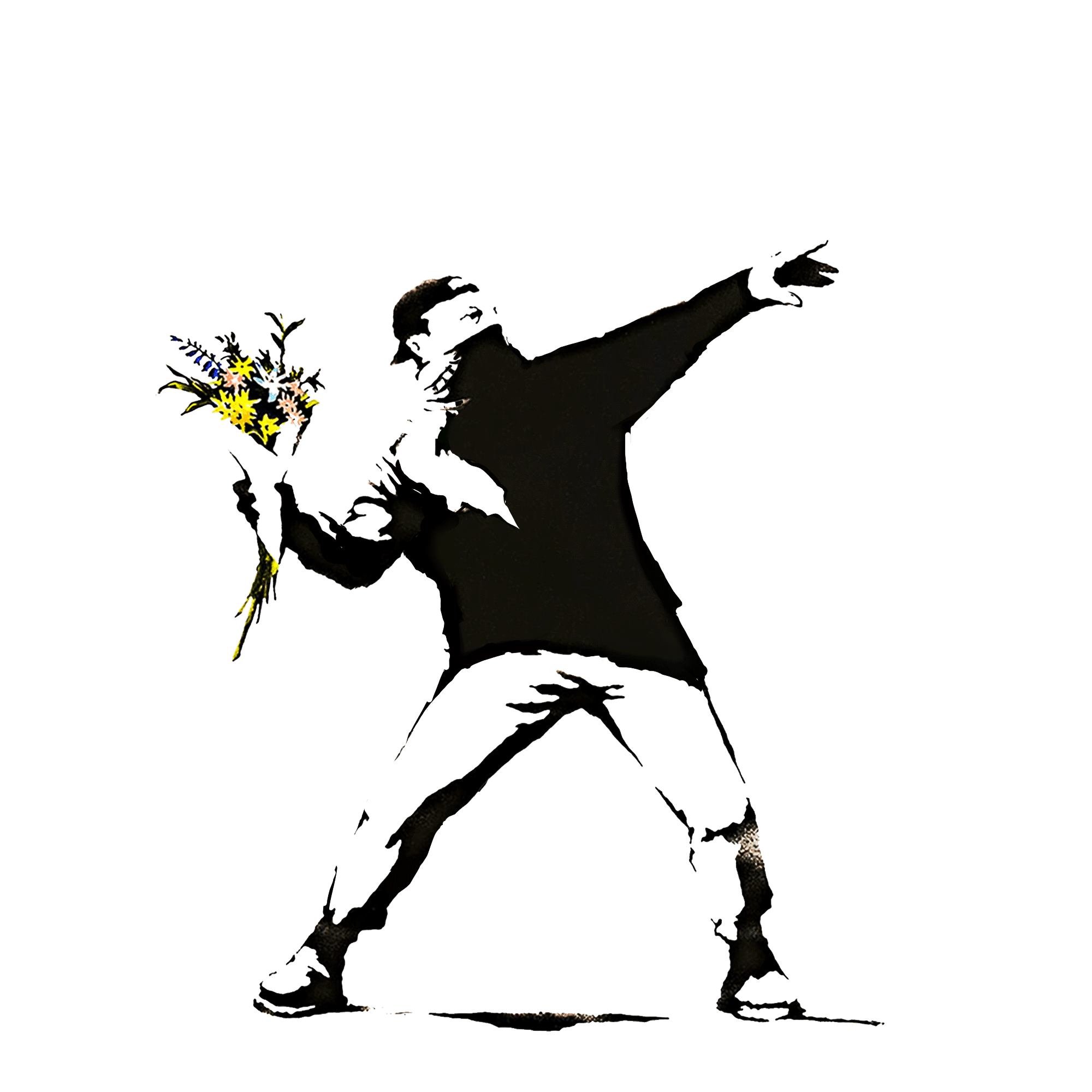notBanksyflower#1209