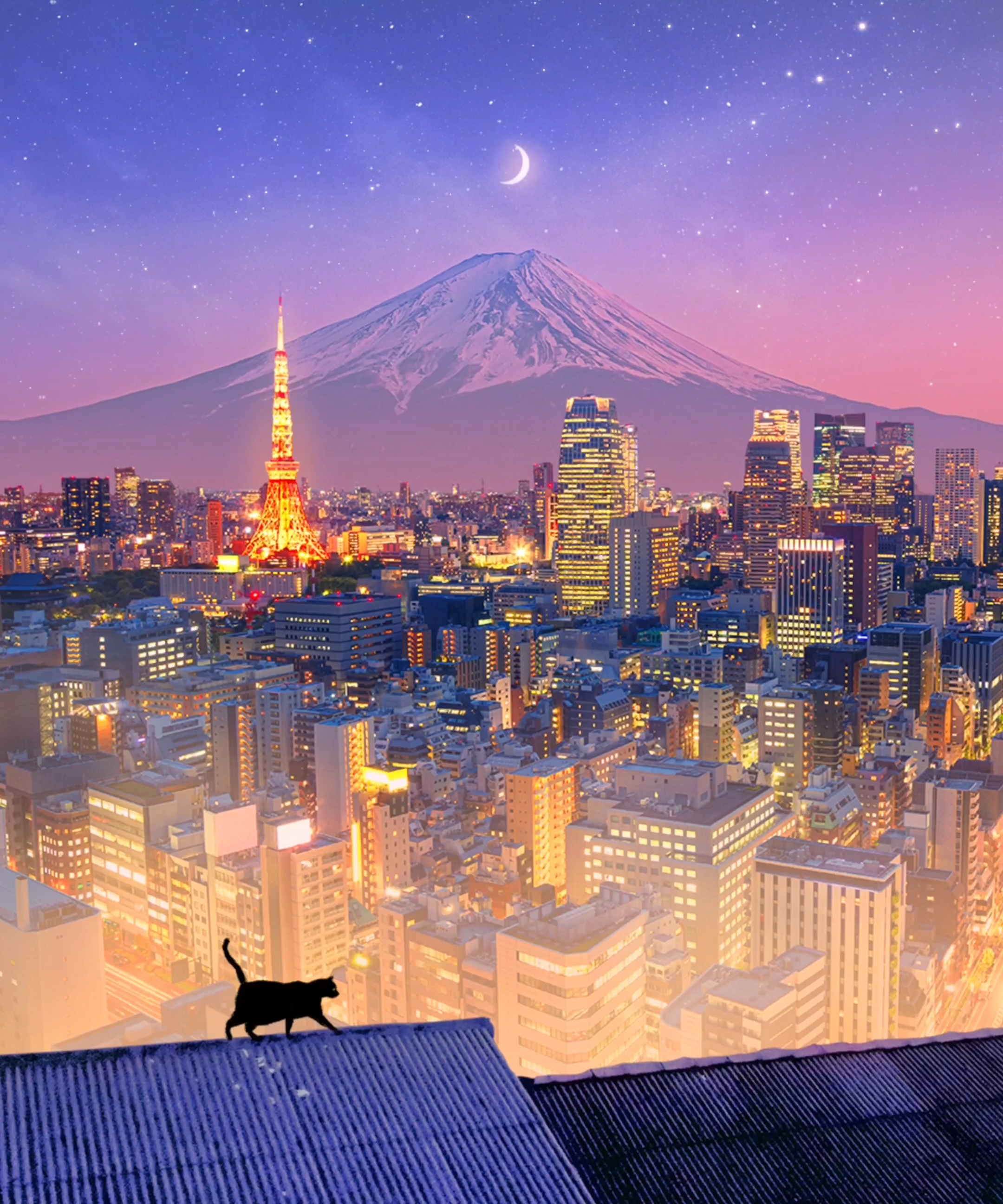 The Cat In Tokyo #11/20