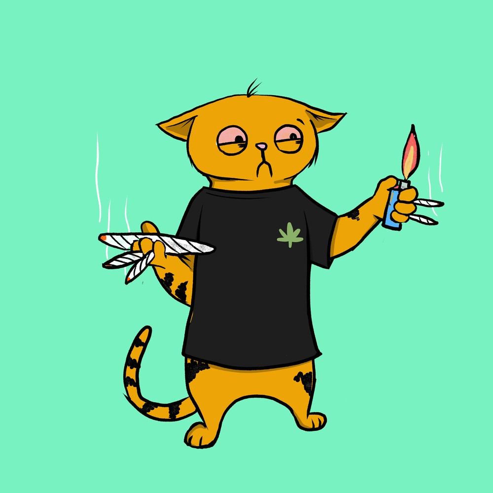 Blazed Cat #7928