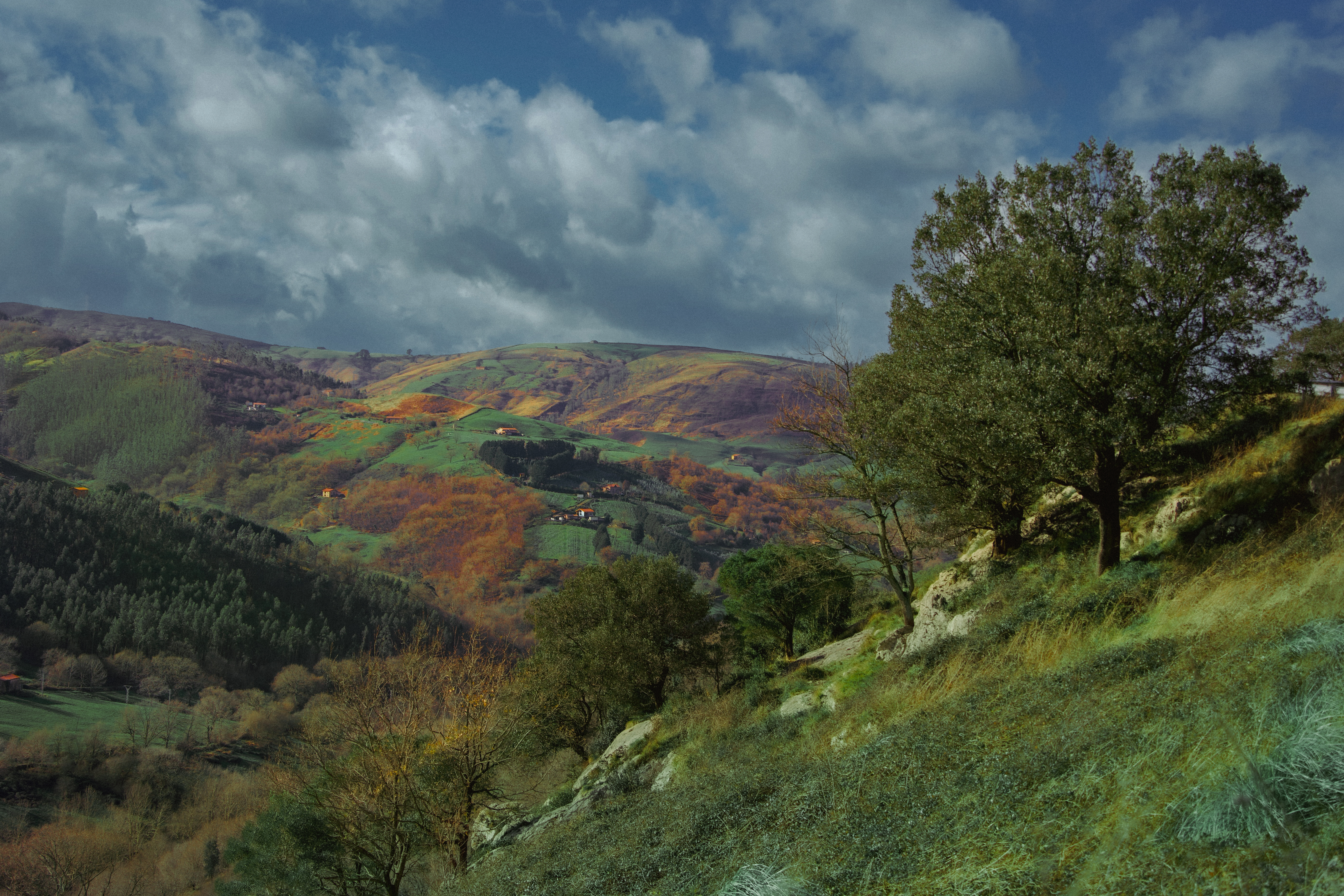 The Land Remembers In Color