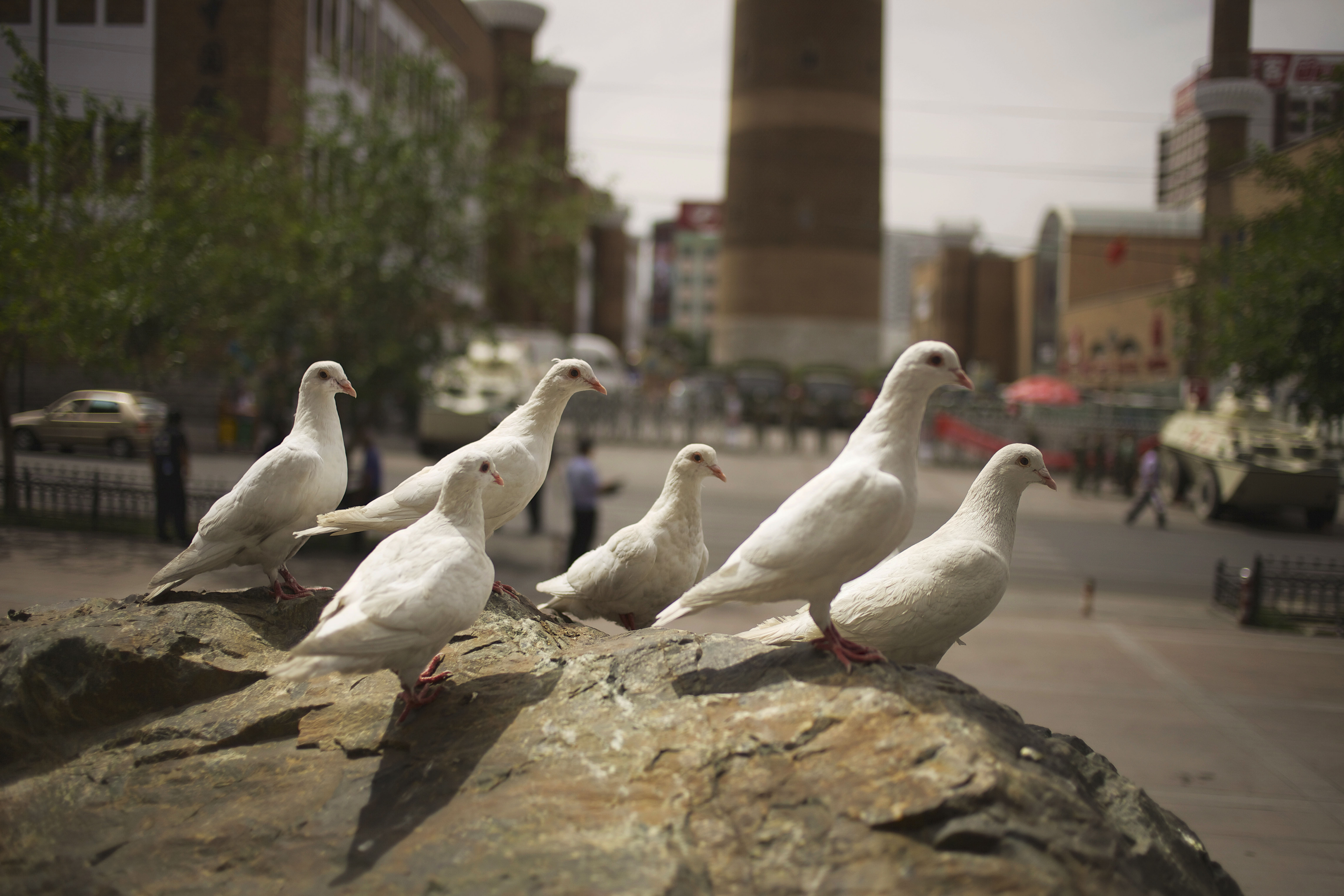 Magnum 75 #4 by Carolyn Drake. Urumqi, Xinjiang Uyghur Autonomous Region, China. 2008