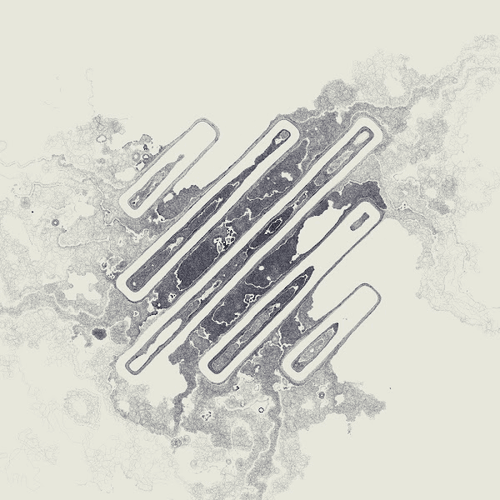 Decal by Kjetil Golid #44