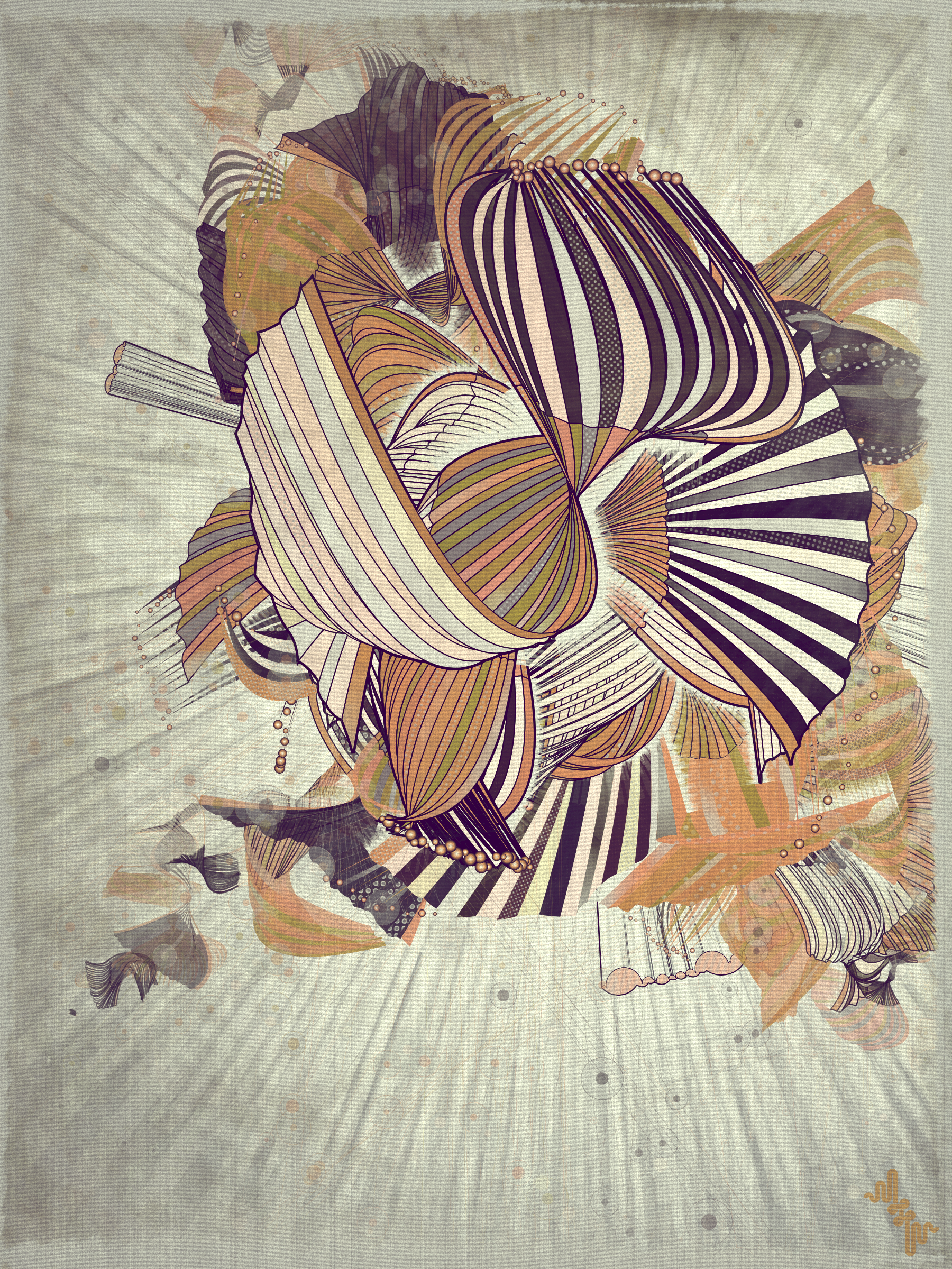 Velum #28