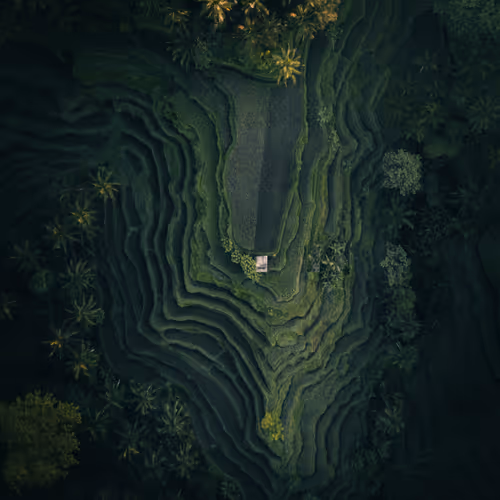 BALI