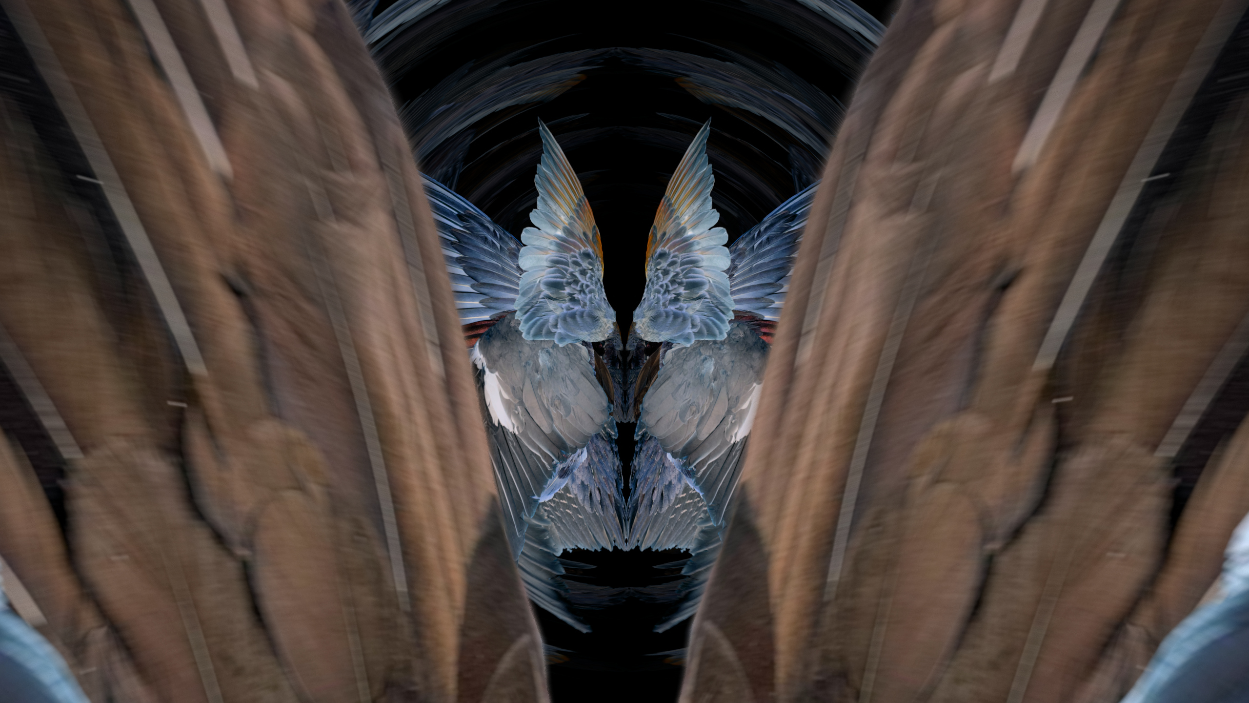 Fuga delle Sirene XL