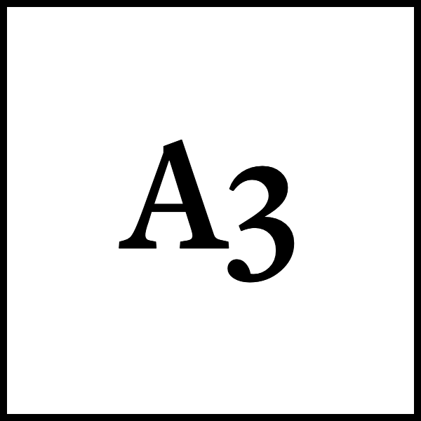 A3