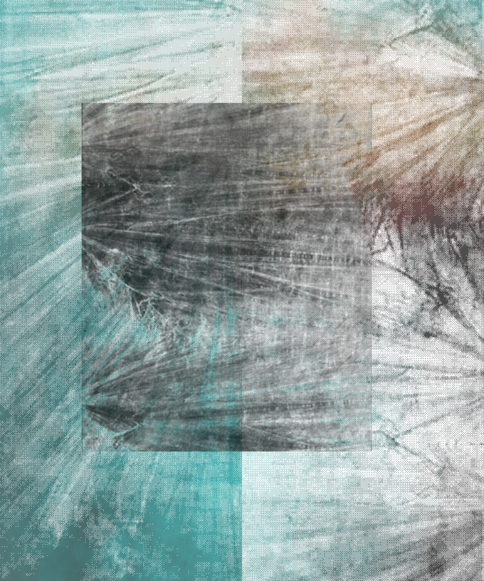 the spring begins with the first rainstorm #311