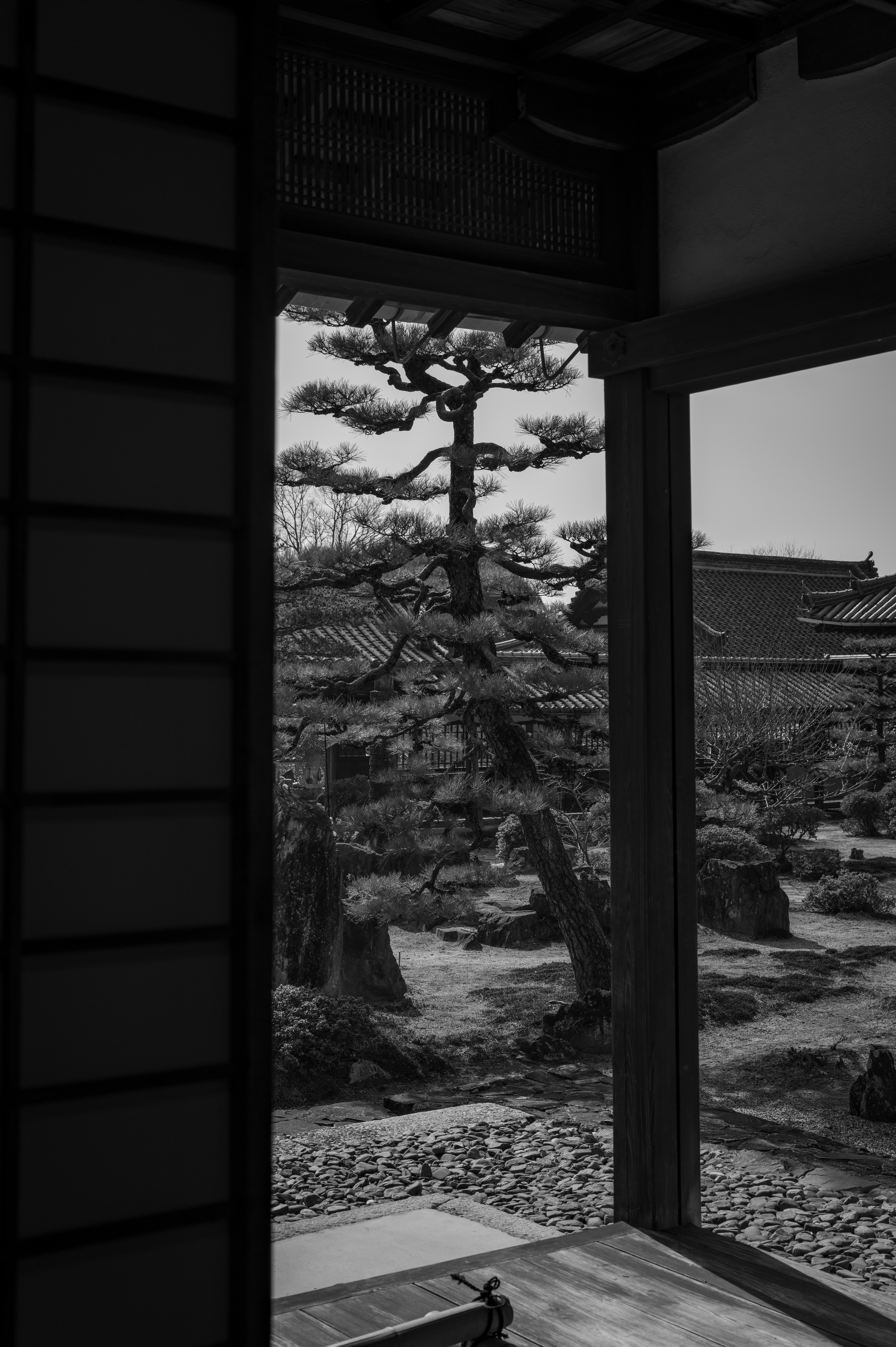 Silent View