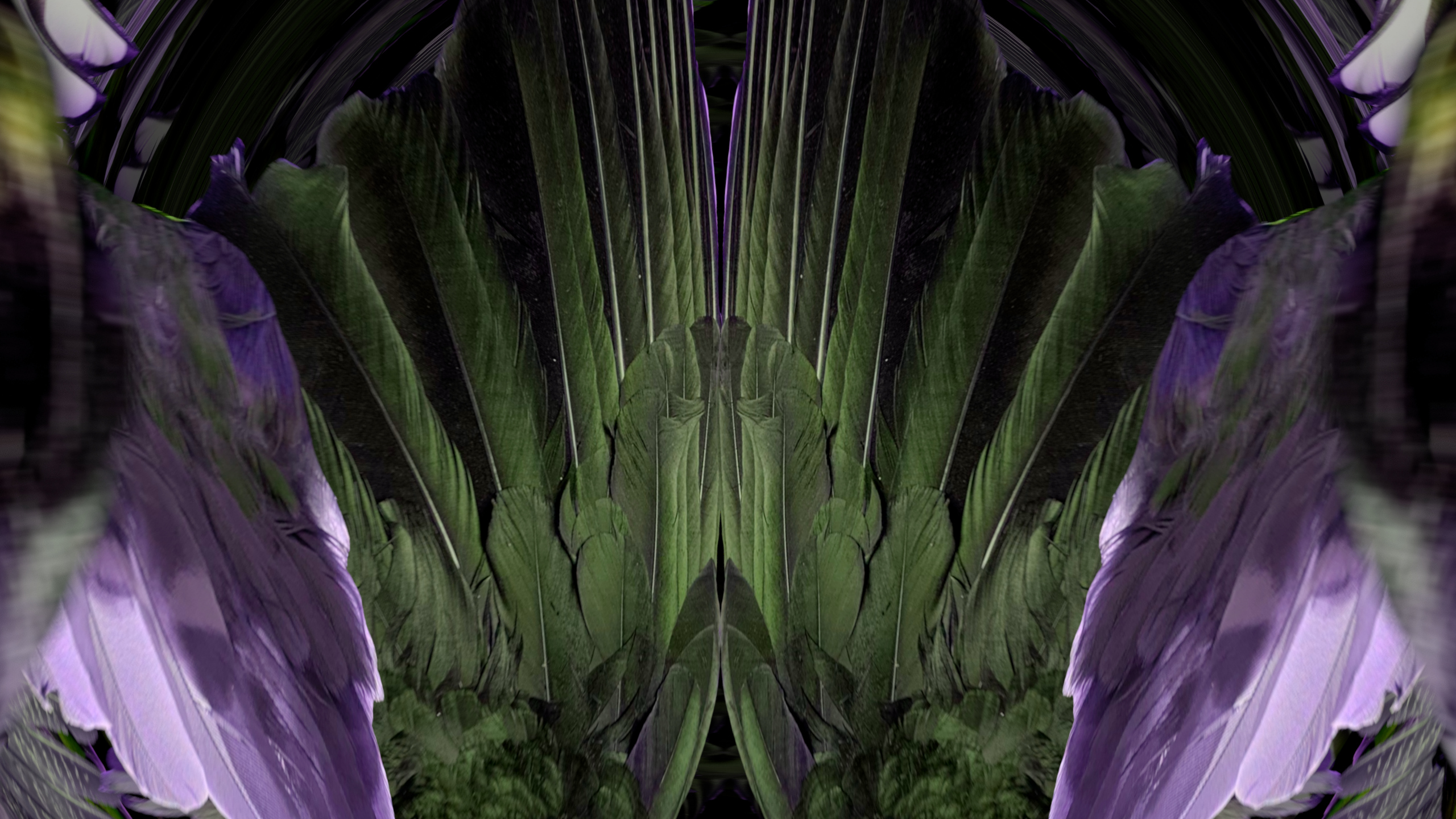 Fuga delle Sirene XCVI