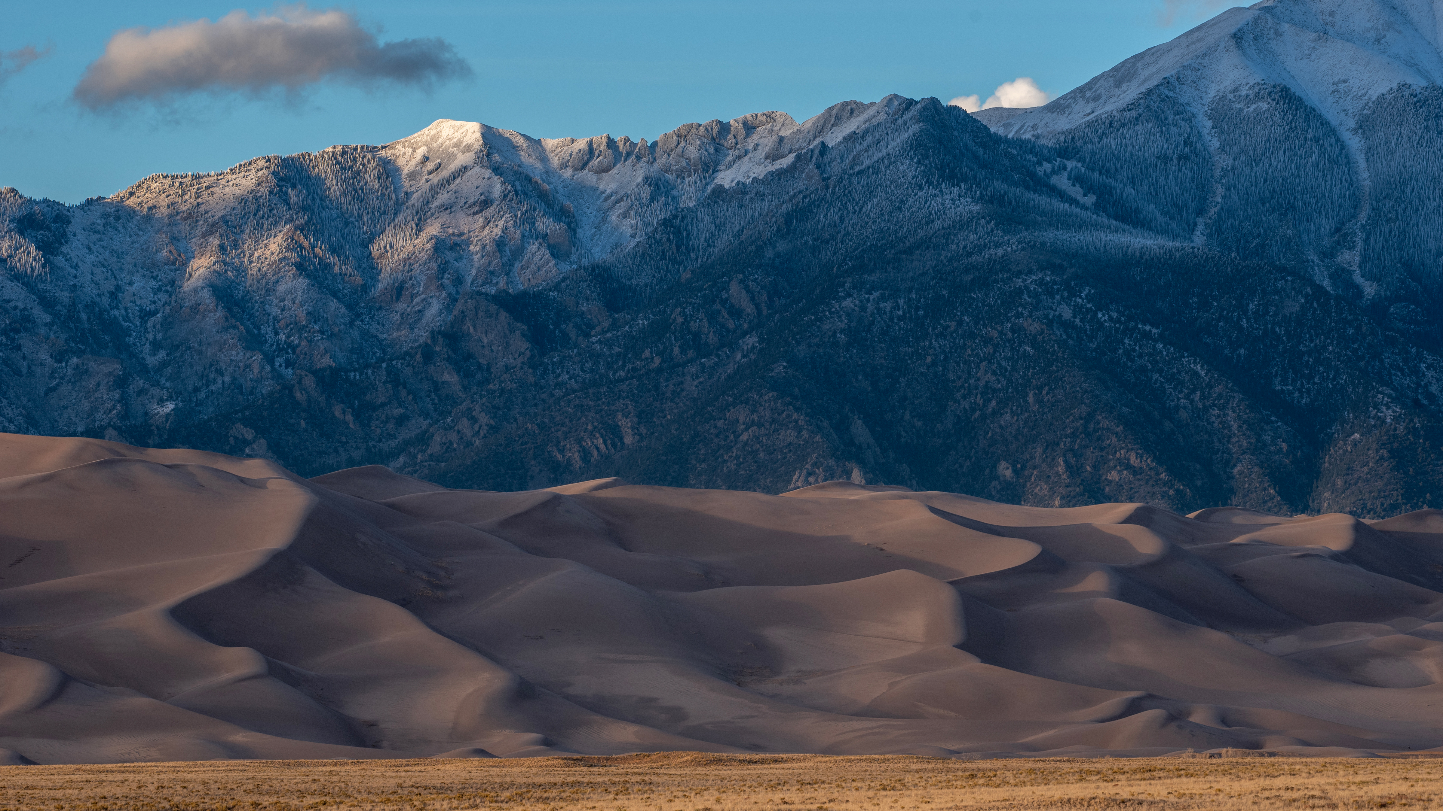 Dust of Snow