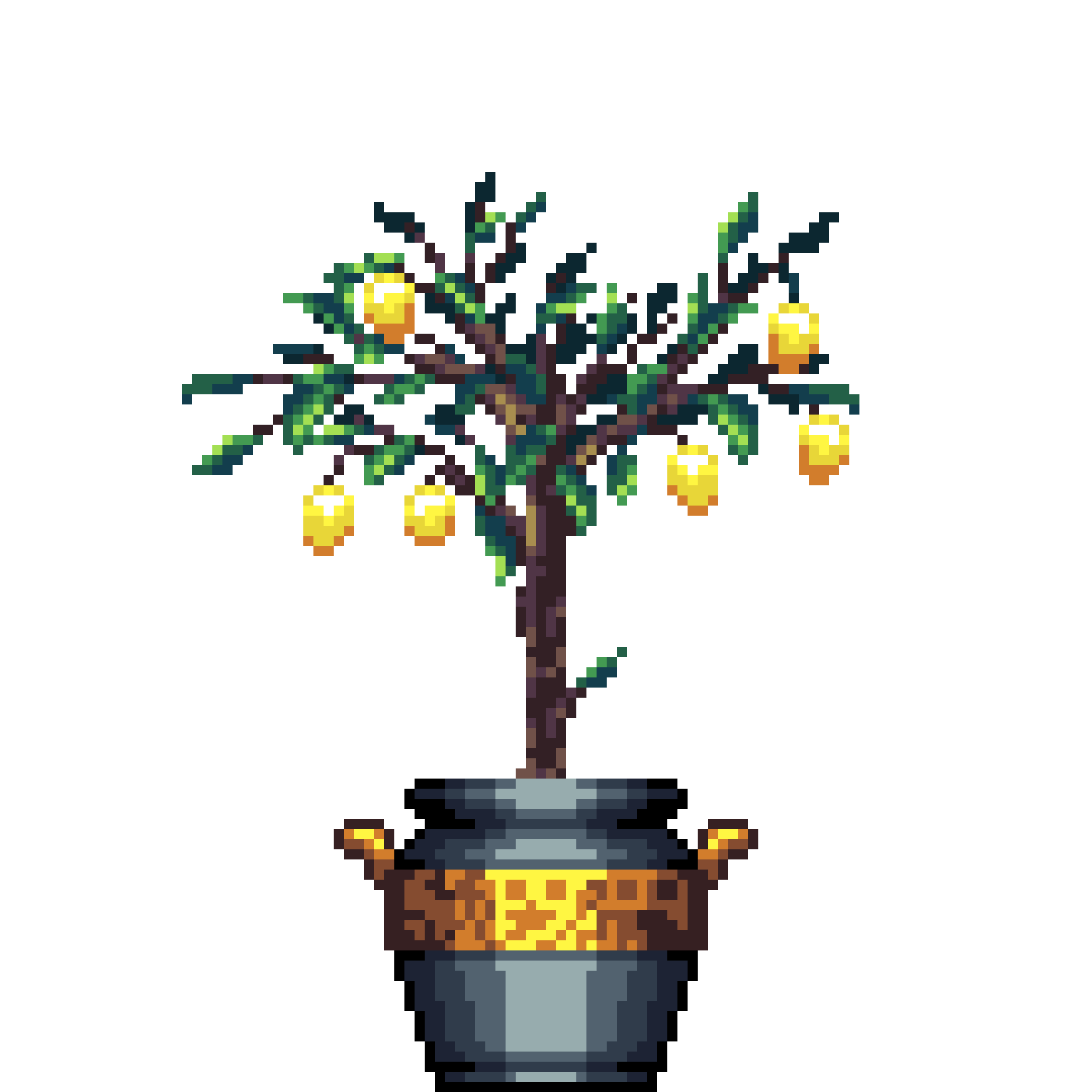 Lemon Tree in Greek Vase pot